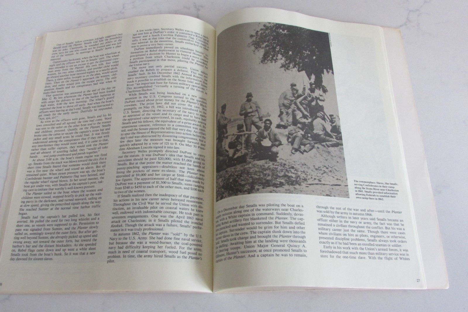 The Negro in the Civil War (National Park Service Reprint) Stephen Ambrose