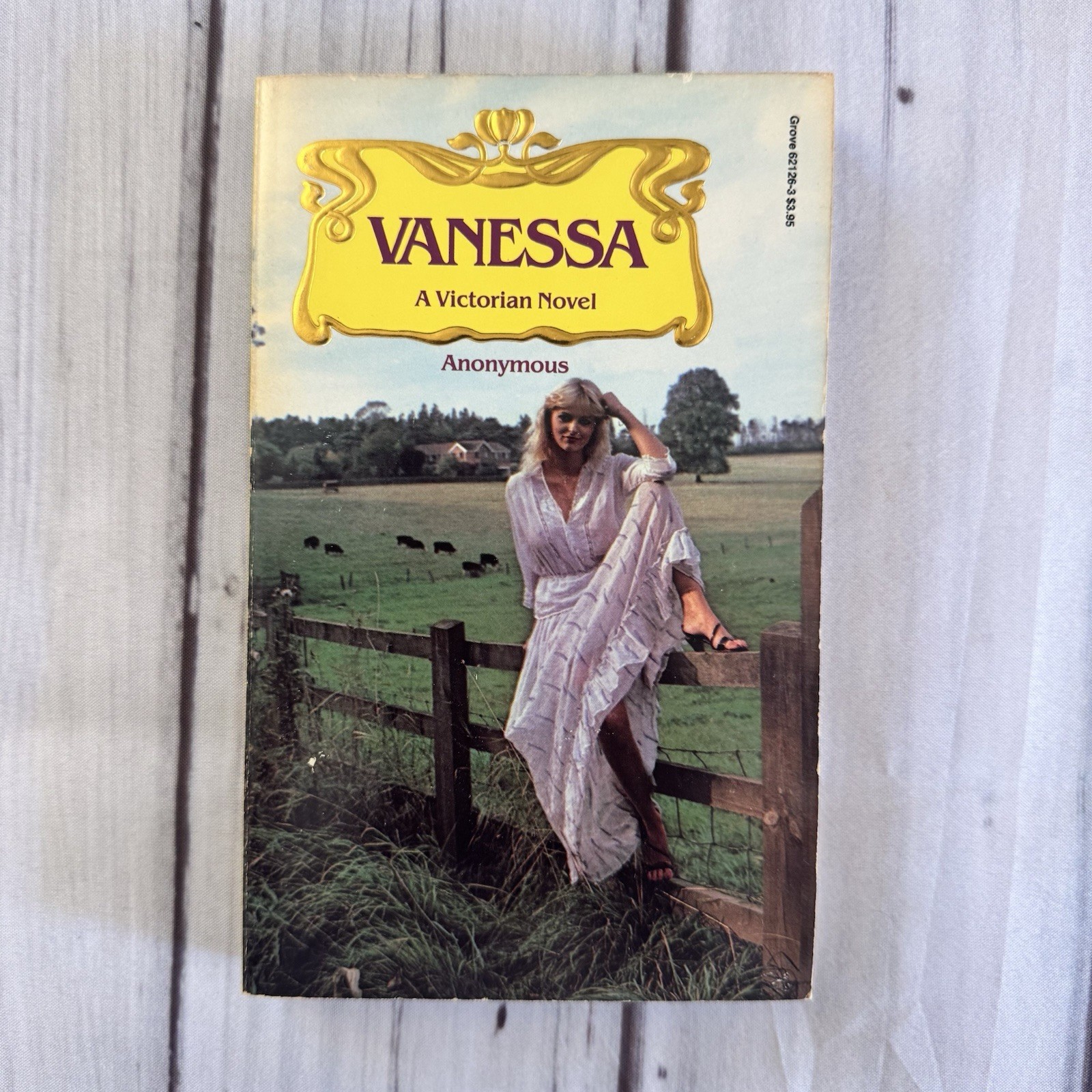 Vanessa Anonymous Vintage Erotic Novel Grove Press Black Cat 1986 Victorian