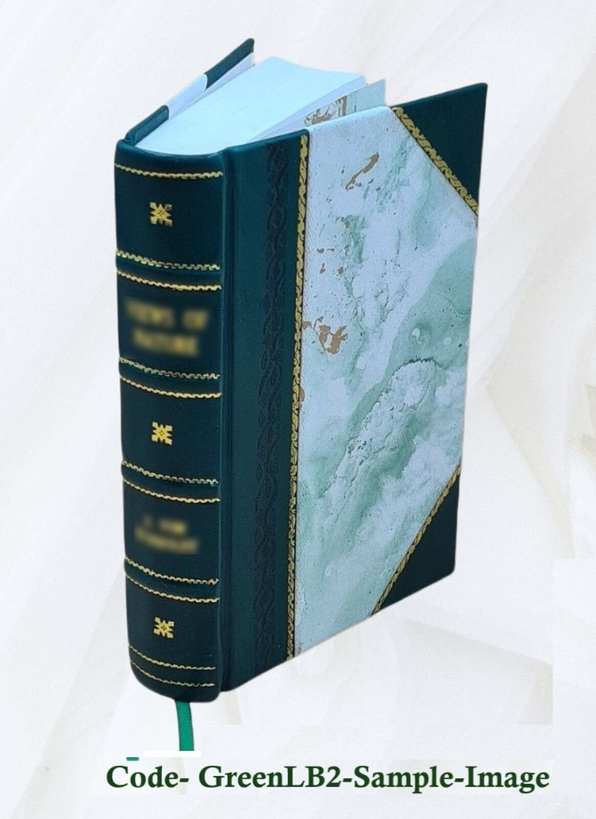 Witchcraft & Second Sight In The Highlands & Islands Of Scotland [Leather Bound]