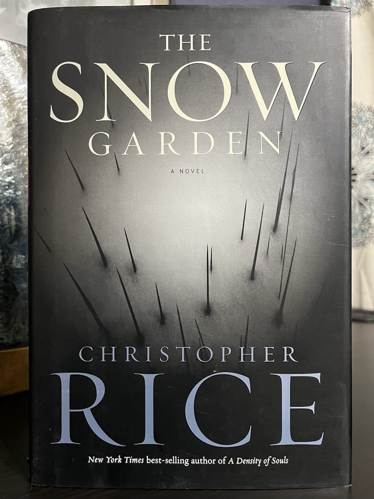 Snow Garden : A Novel by Christopher Rice (2002, Hardcover)
