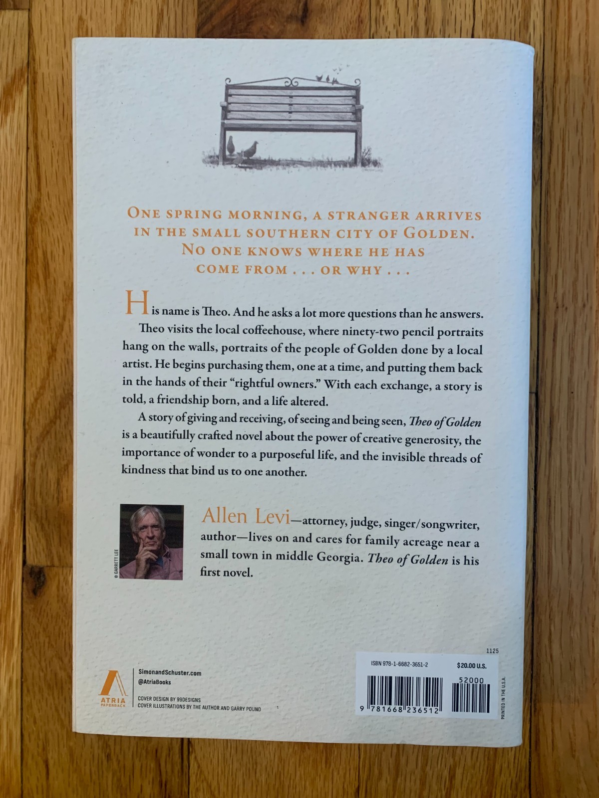 Theo of Golden: A Novel by Allen Levi Paperback 2025
