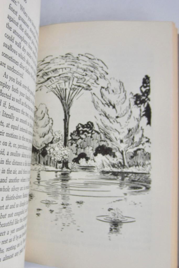 Good Housekeeping’s BEST BOOK OF NATURE STORIES ~ First Edition HBDJ 1957