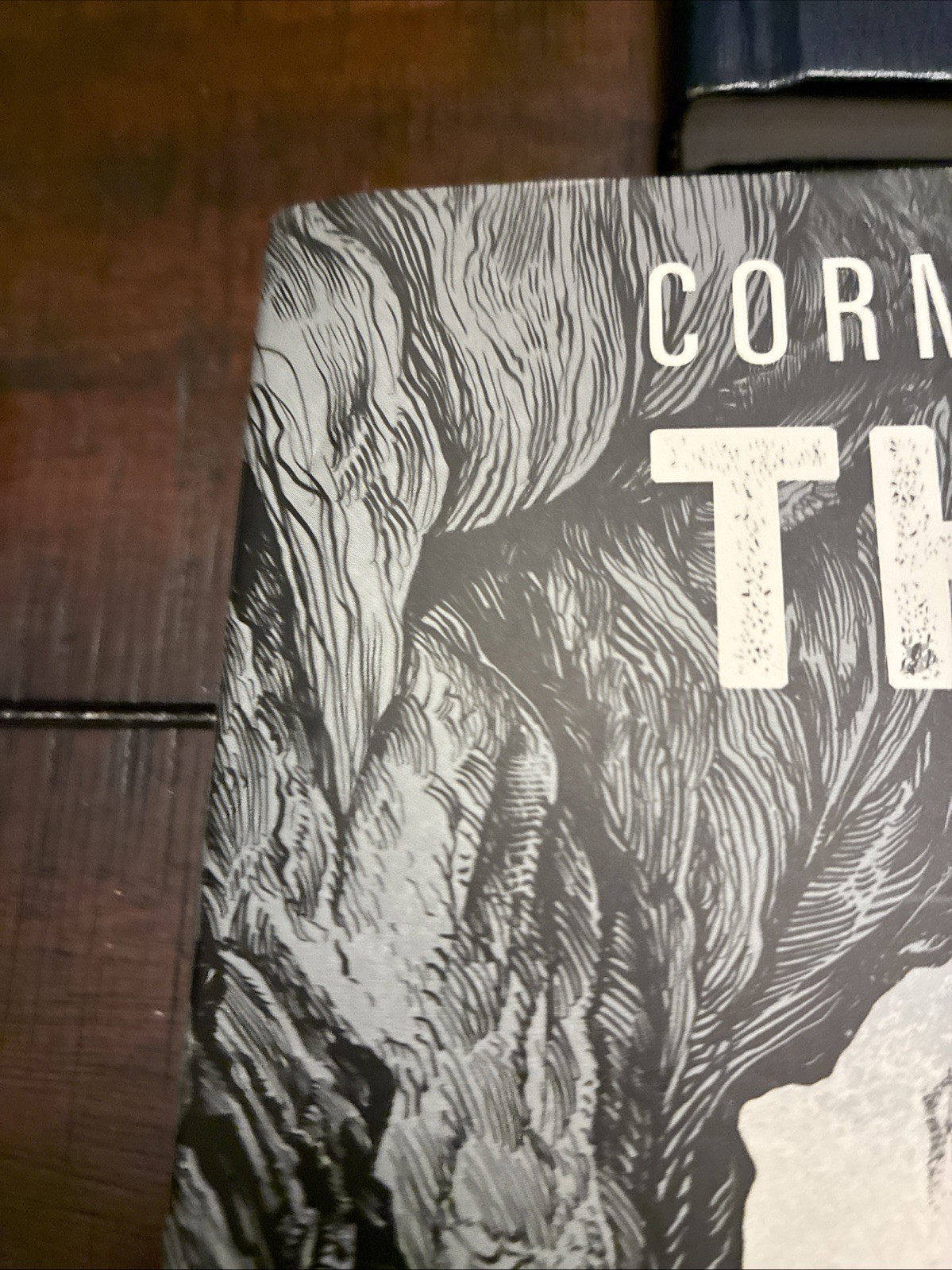 The Road Book By Cormac McCarthy Graphic Novel