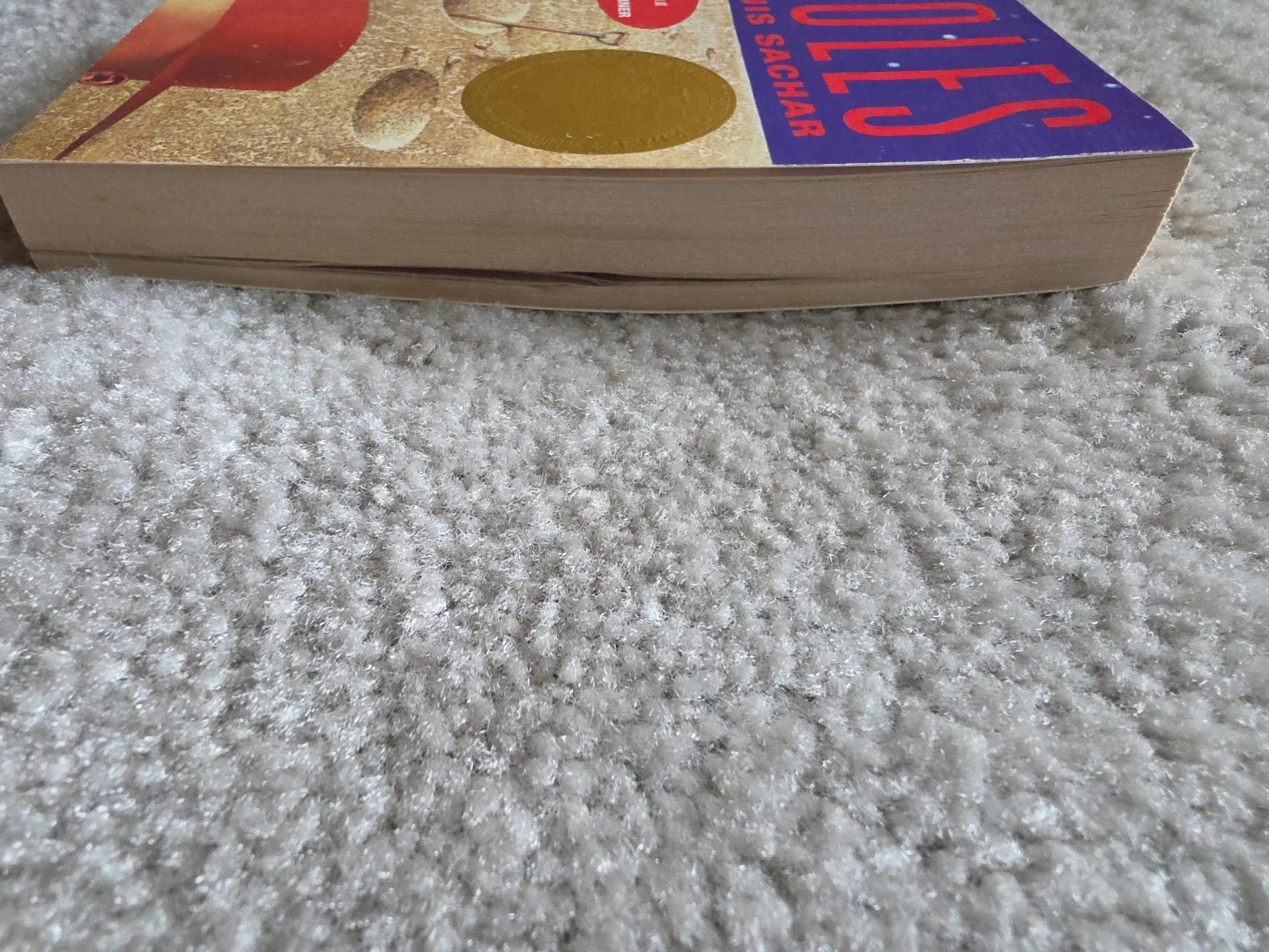 Holes by Louis Sachar (2008 Paperback)