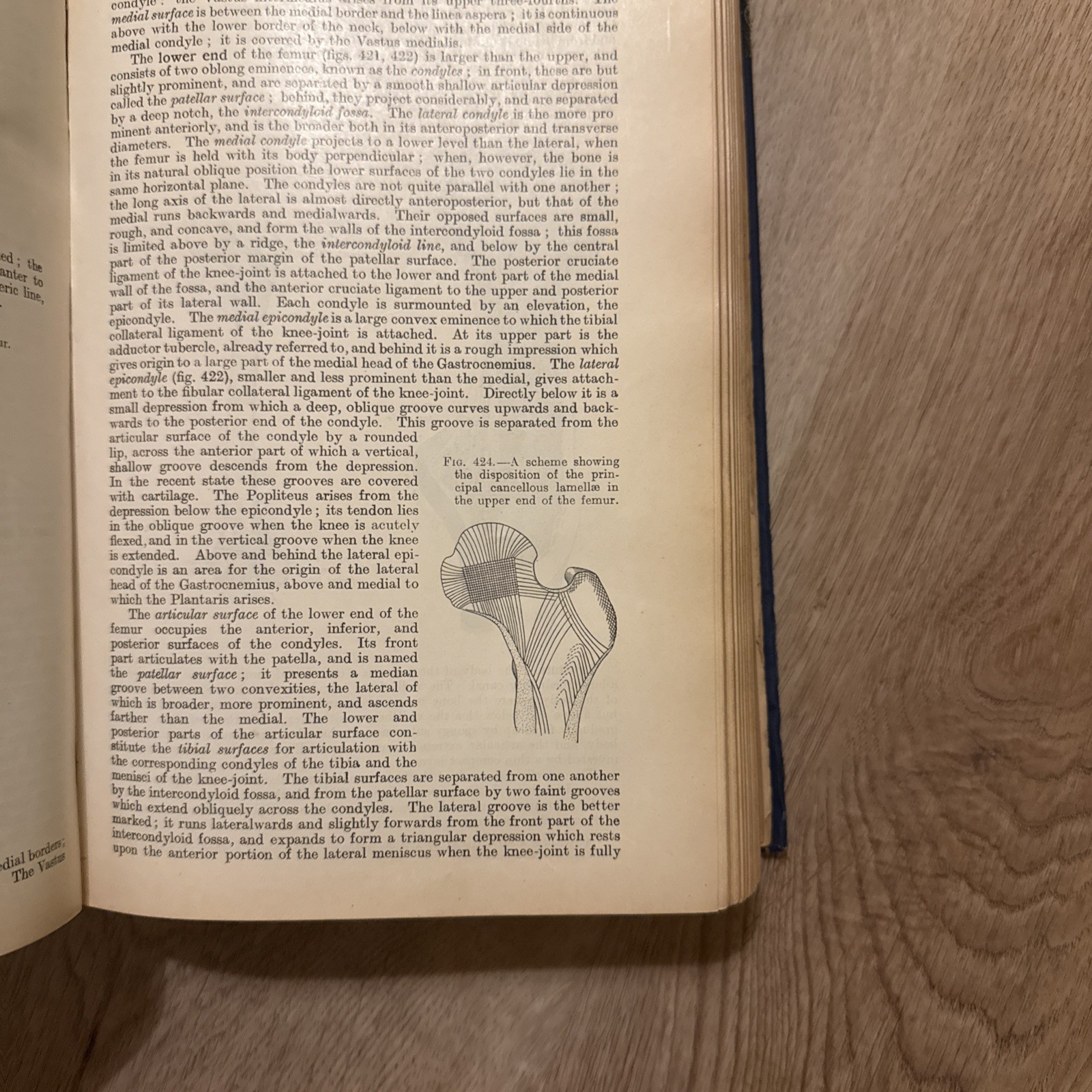 Rare 1923 Gray’s Descriptive and Applied – 22nd Ed (Classic Medical Collectible)