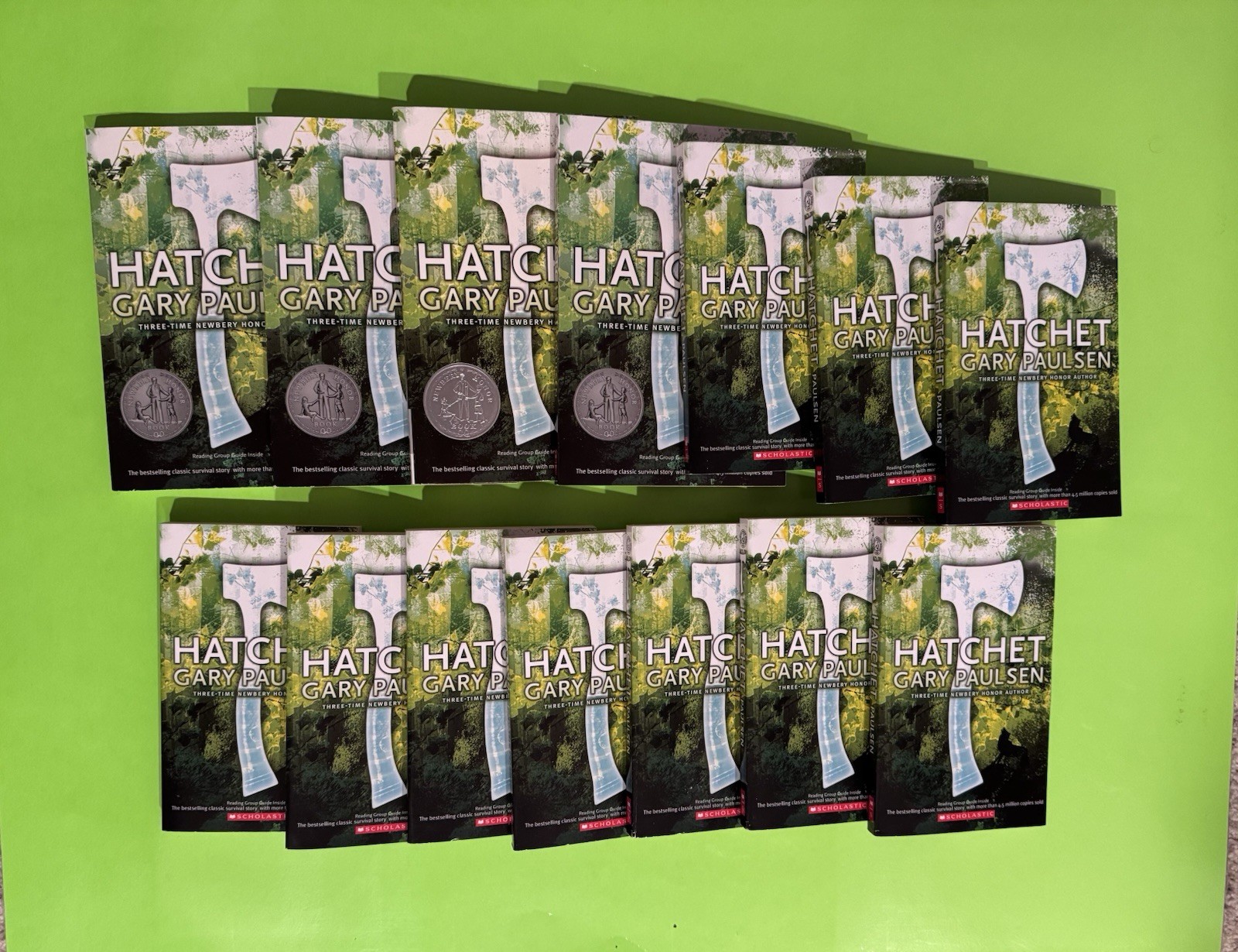 A Hatchet Adventure Ser.: Brian’s Hunt by Gary Paulsen (2012) Set Of 14 Books