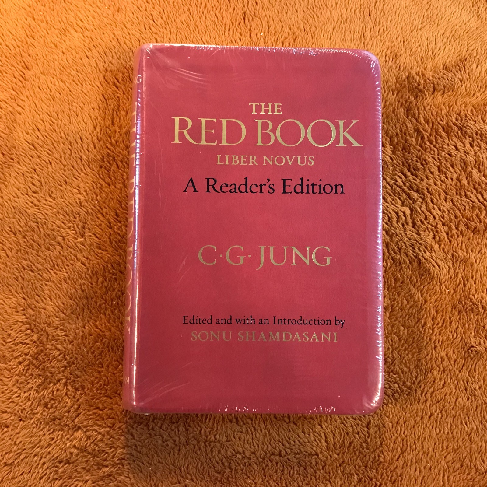 C.G. Carl Jung THE RED BOOK liber novus philemon ’12 english a reader’s edition!