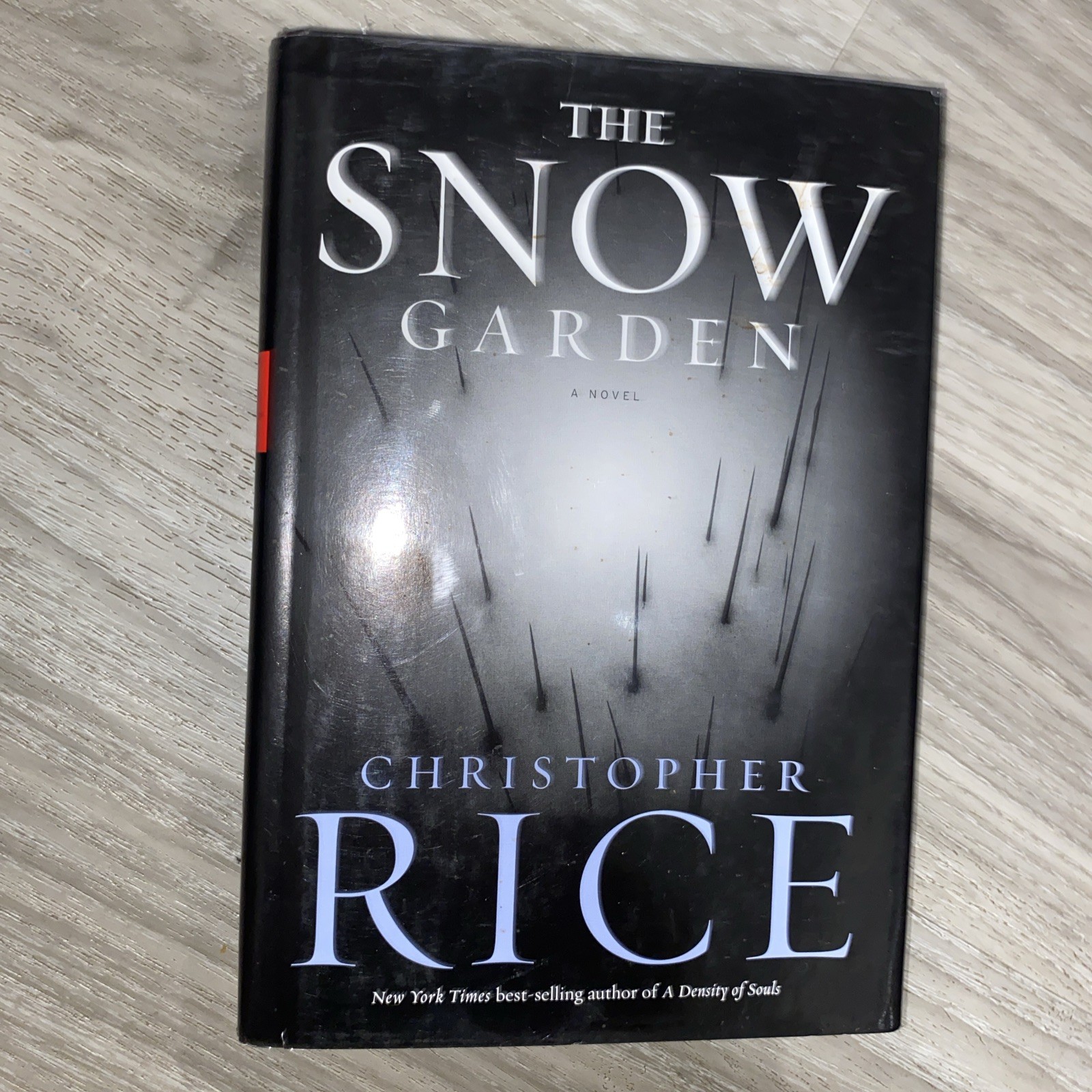 Snow Garden : A Novel by Christopher Rice (2002, Hardcover)