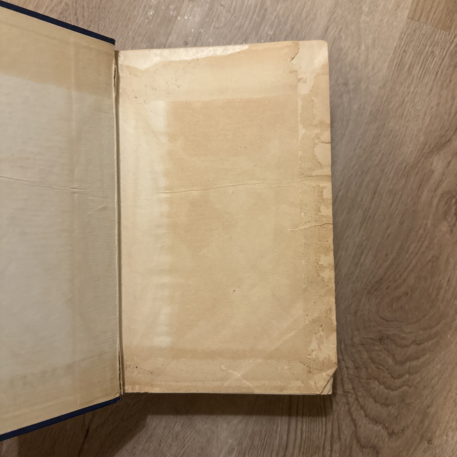 Rare 1923 Gray’s Descriptive and Applied – 22nd Ed (Classic Medical Collectible)
