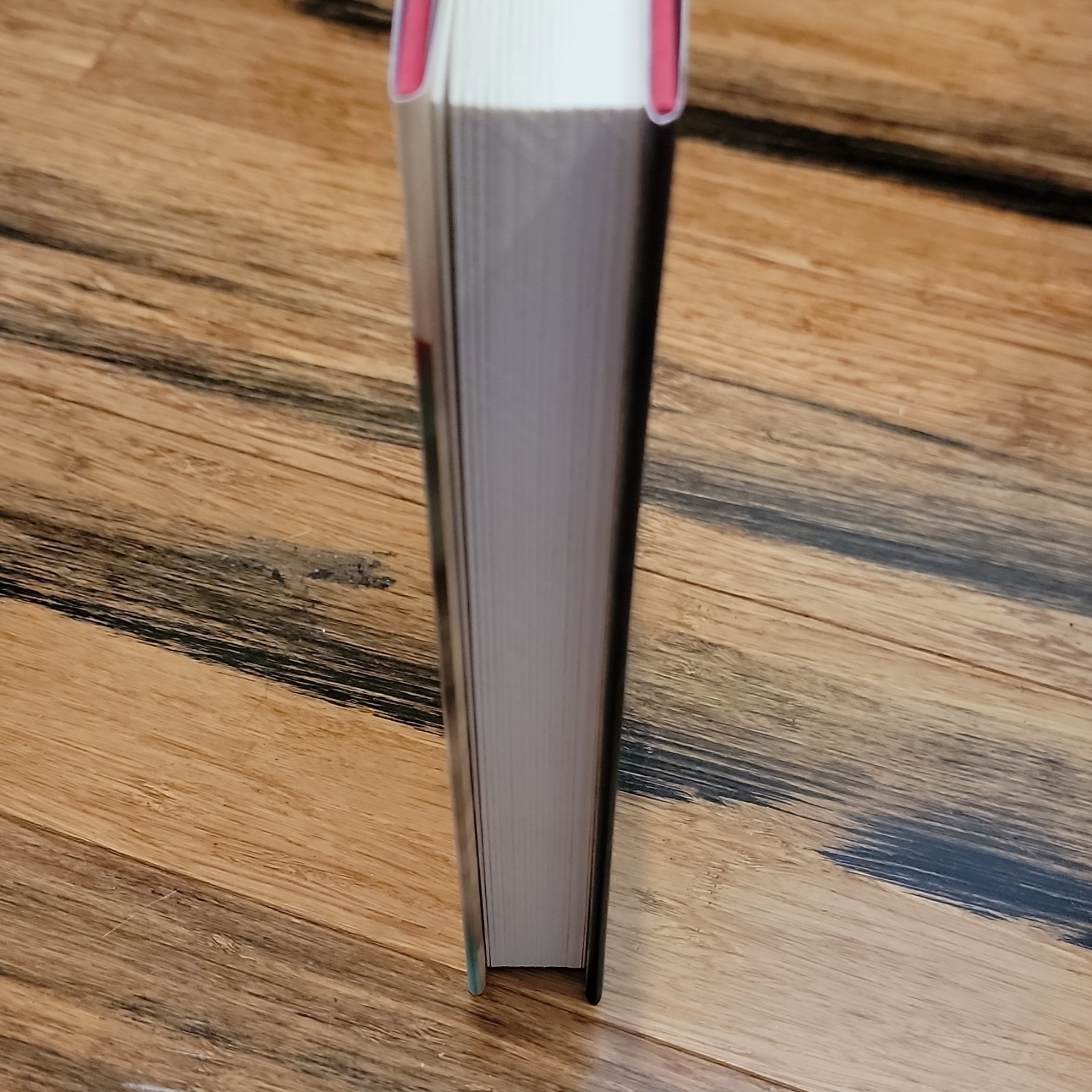 Angel Down (Pulitzer Prize Winner) Daniel Kraus Hardcover 2025 Signed