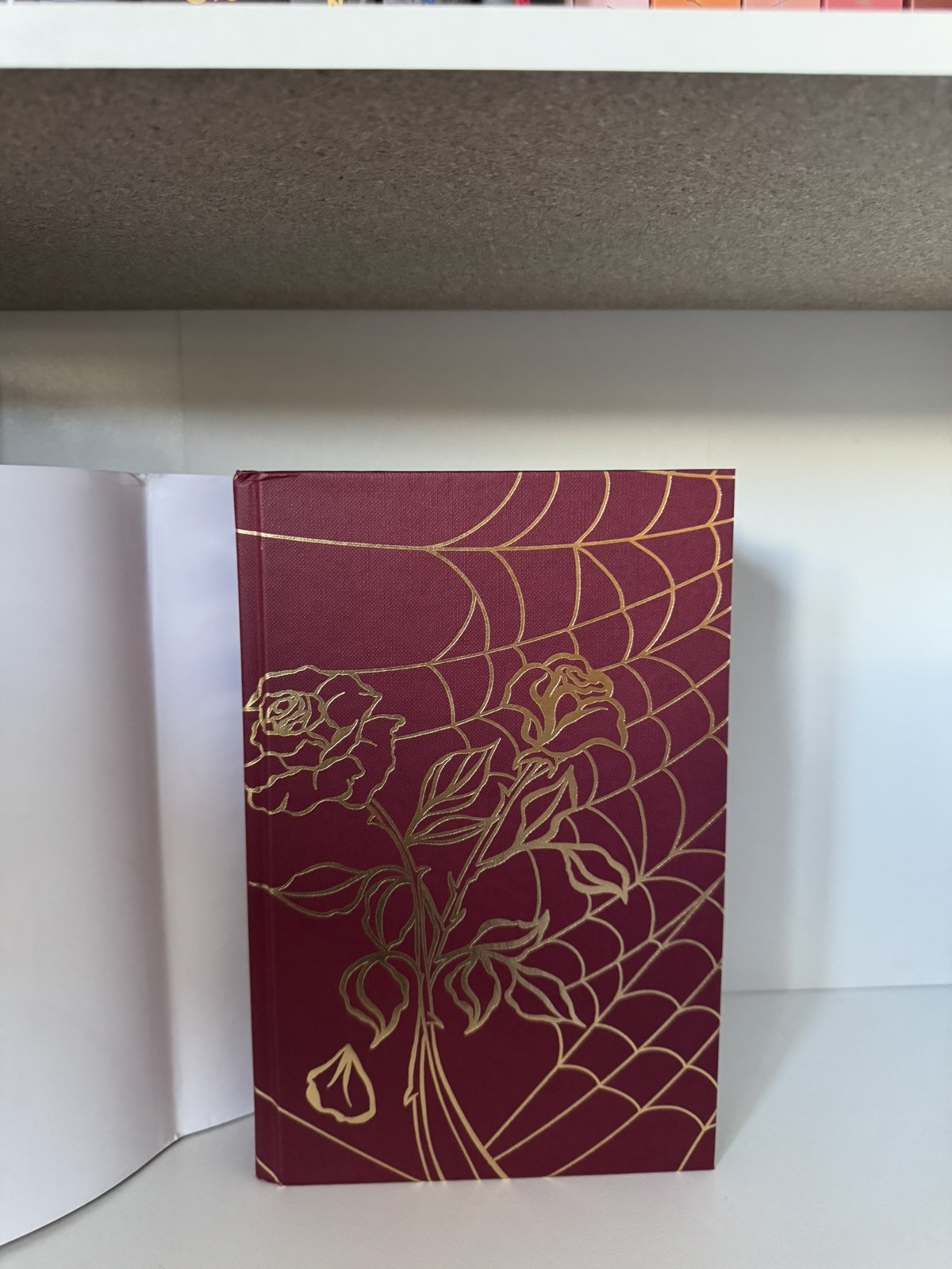 Leigh Rivers SIGNED Web of Silence Duet Page & Wick Omnibus Special Edition