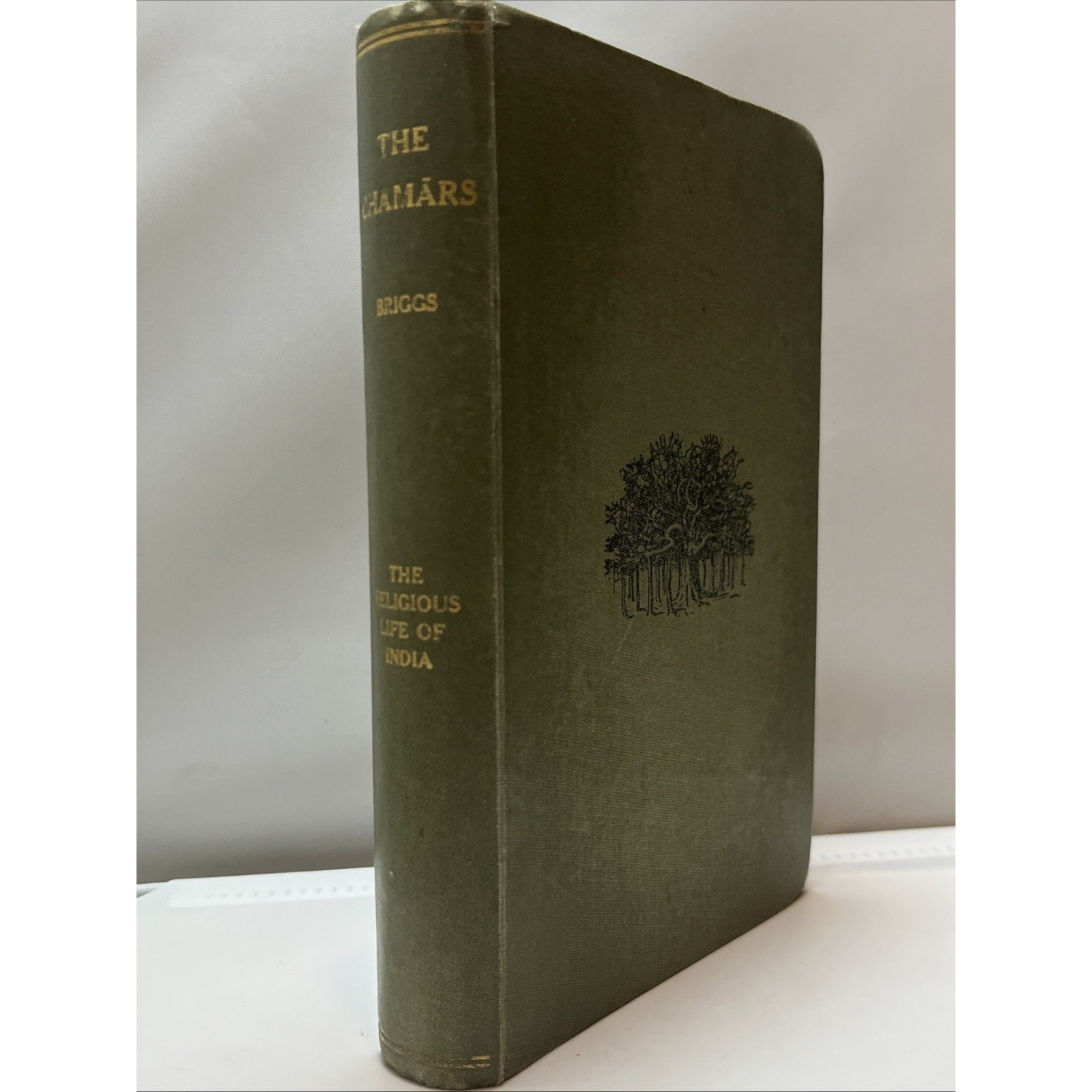 The Religious Life of India: The Chamars by Briggs 1920