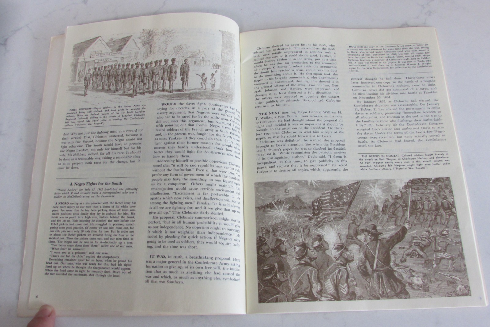 The Negro in the Civil War (National Park Service Reprint) Stephen Ambrose