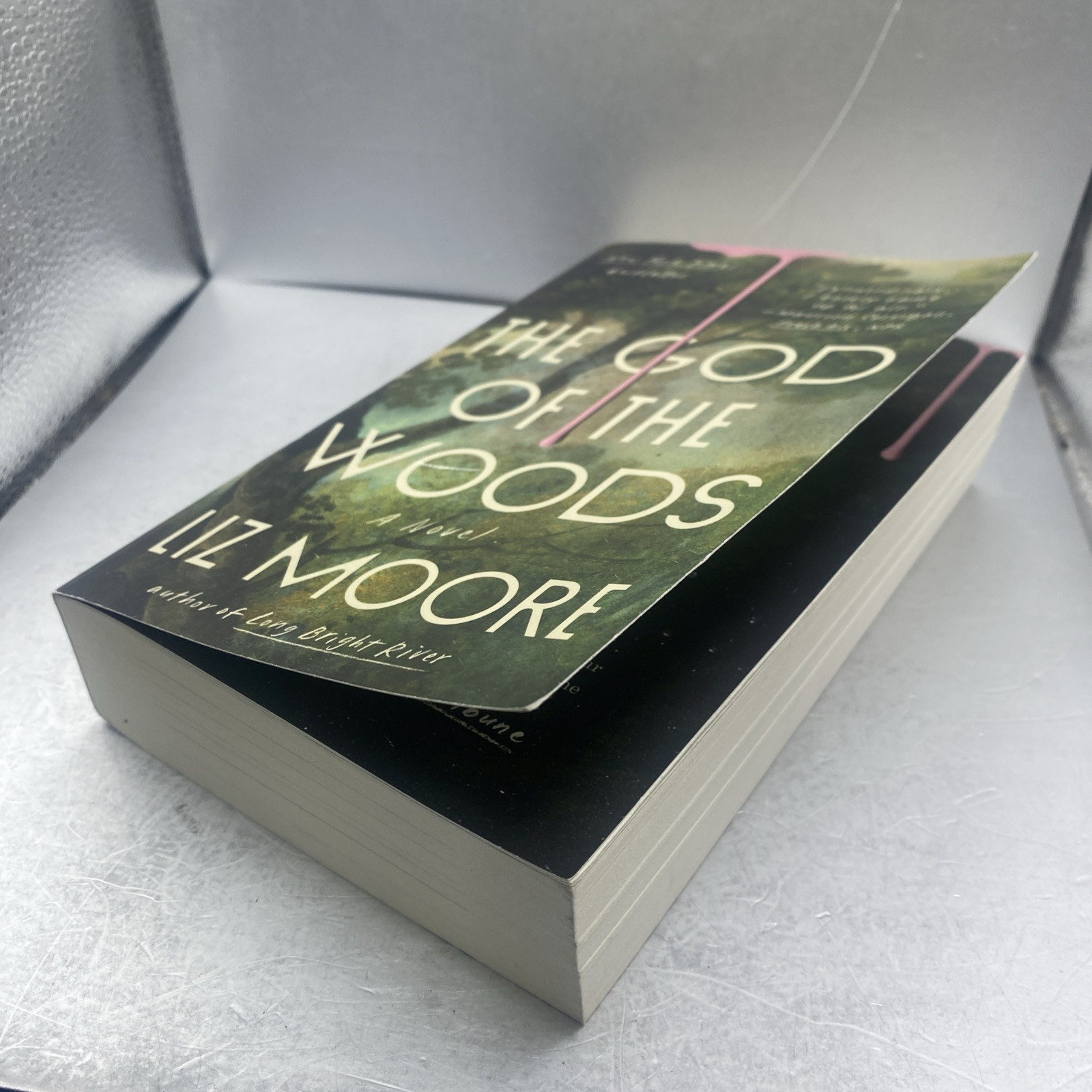 Liz Moore The God of the Woods Trade Paperback 2024 Penguin Thriller Novel
