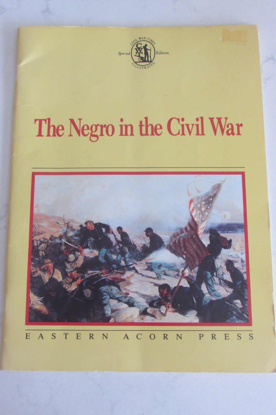 The Negro in the Civil War (National Park Service Reprint) Stephen Ambrose