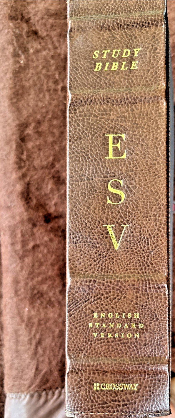 ESV Study Bible 2008 Crossway Bibles Navy/Brown Leather Hardcover $0 Shipping!