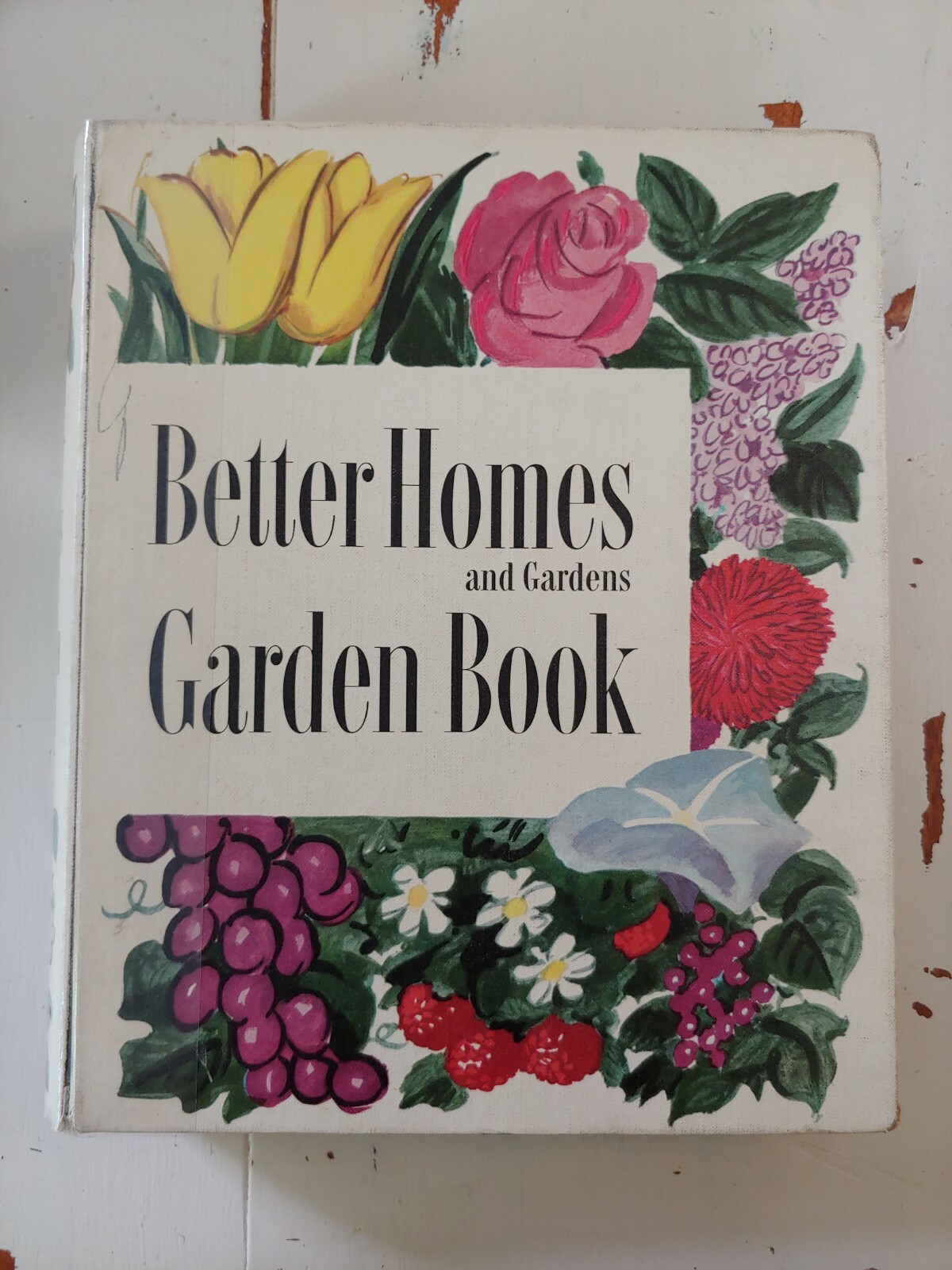 1954 Better Homes and Gardens GARDEN BOOK Meredith Publishing 480 Pages HB