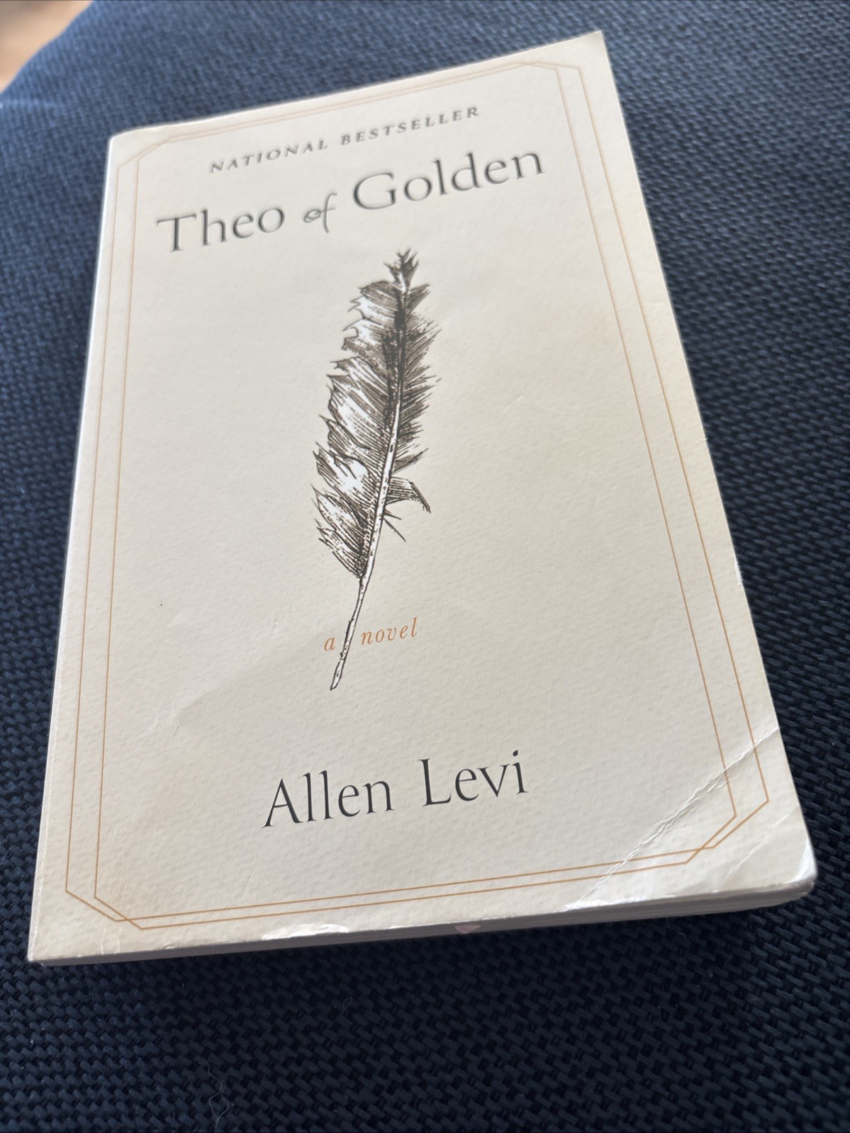 Theo of Golden by Allen Levi 2023 Paperback English Edition