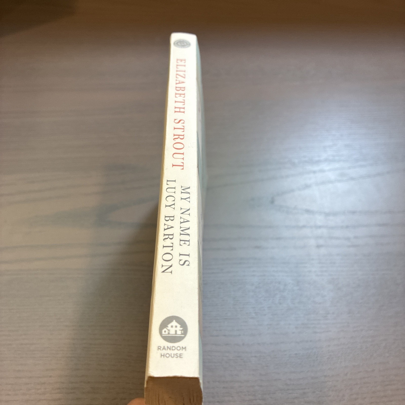 My Name Is Lucy Barton : A Novel by Elizabeth Strout (2016, Trade Paperback)