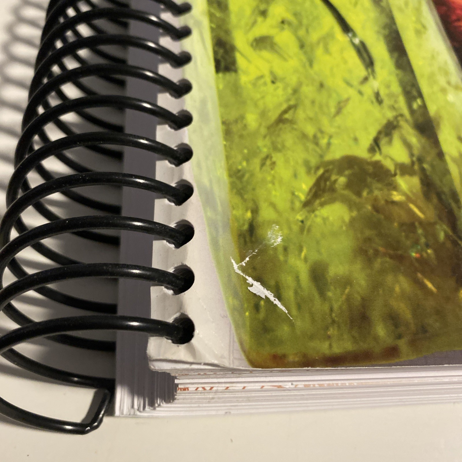 Apologia Physical Science Student Notebook 3rd Edition, No Writing