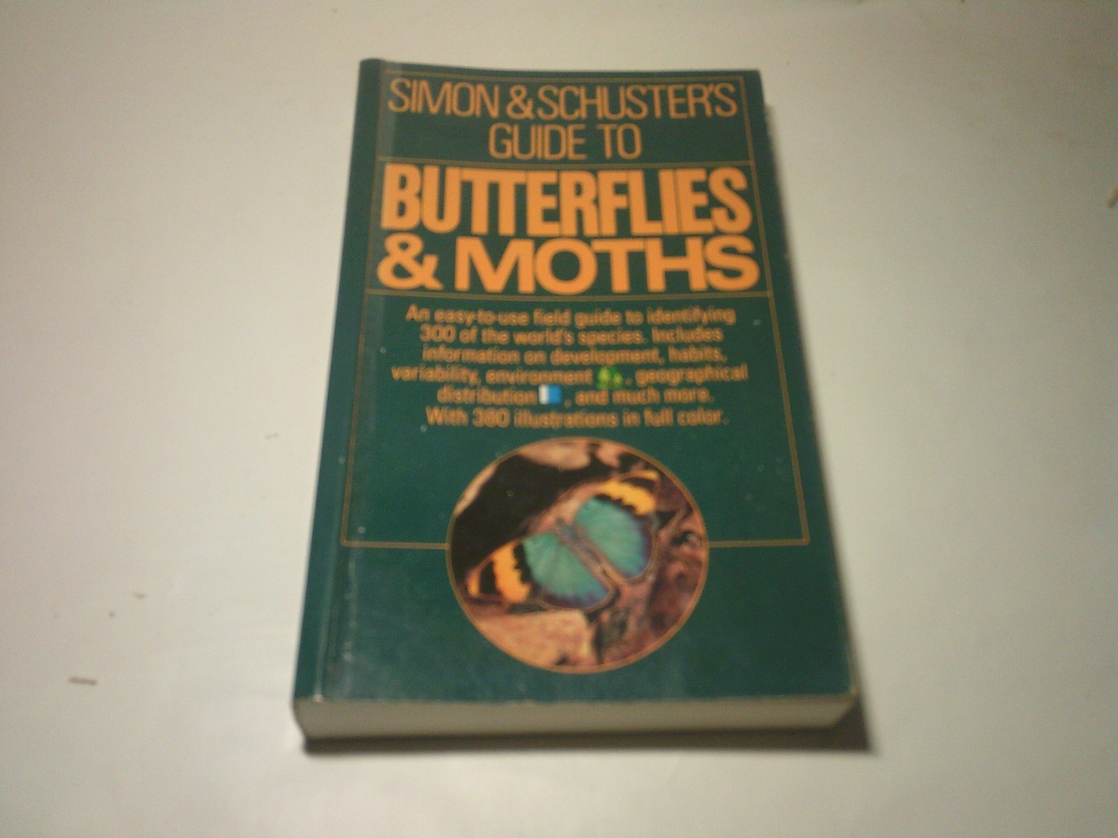 Simon and Schuster’s Guide to Butterflies and Moths Paperback full color photos