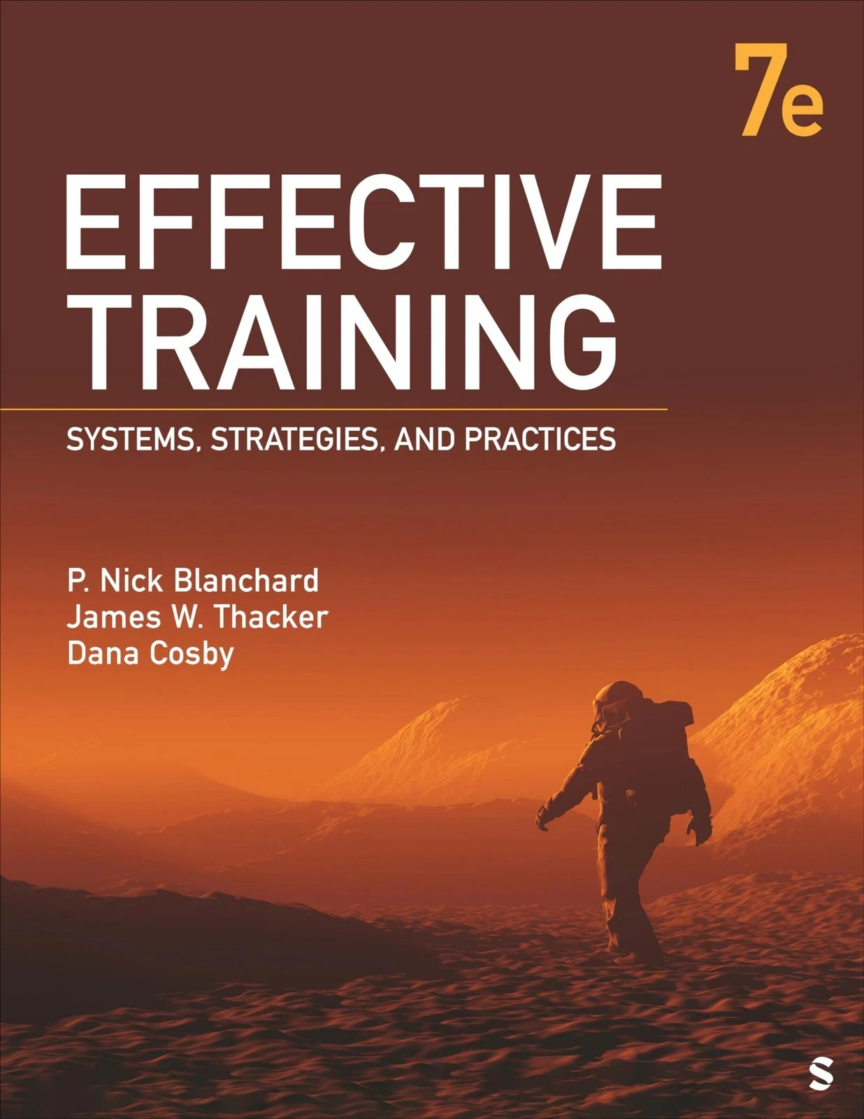 Effective Training: Systems, Strategies, and Practices by Blanchard – VERY GOOD