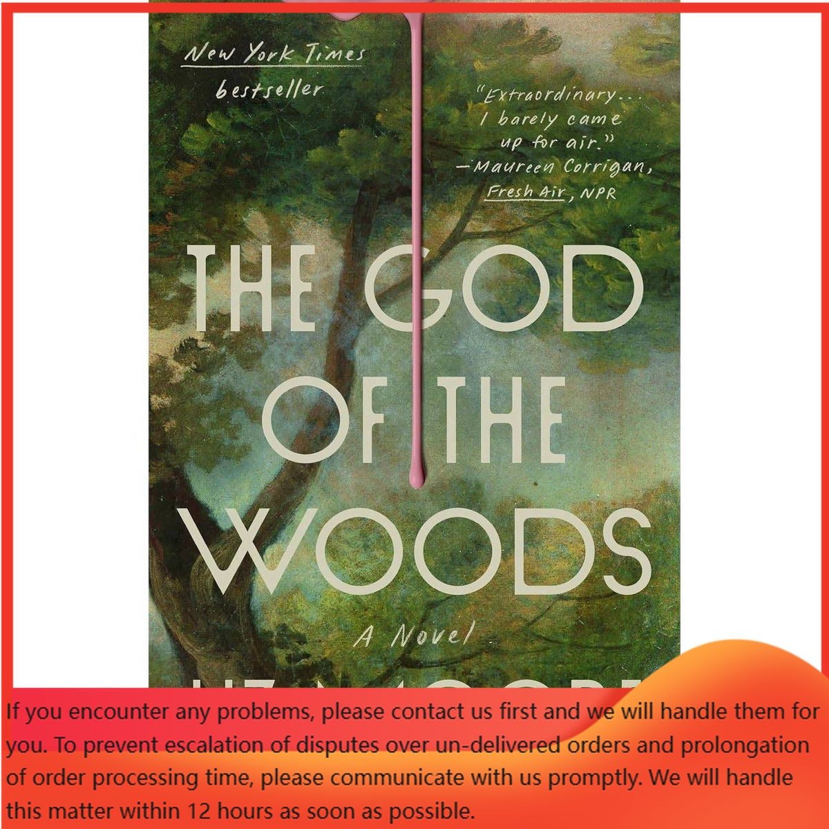 The God of the Woods – by Liz Moore