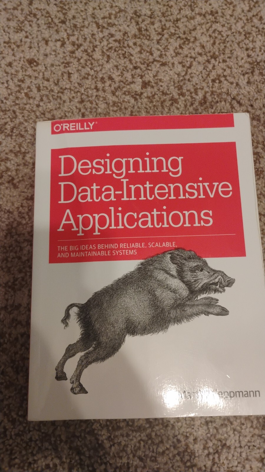 used book white designing data-Intensive applications martin kleppmann