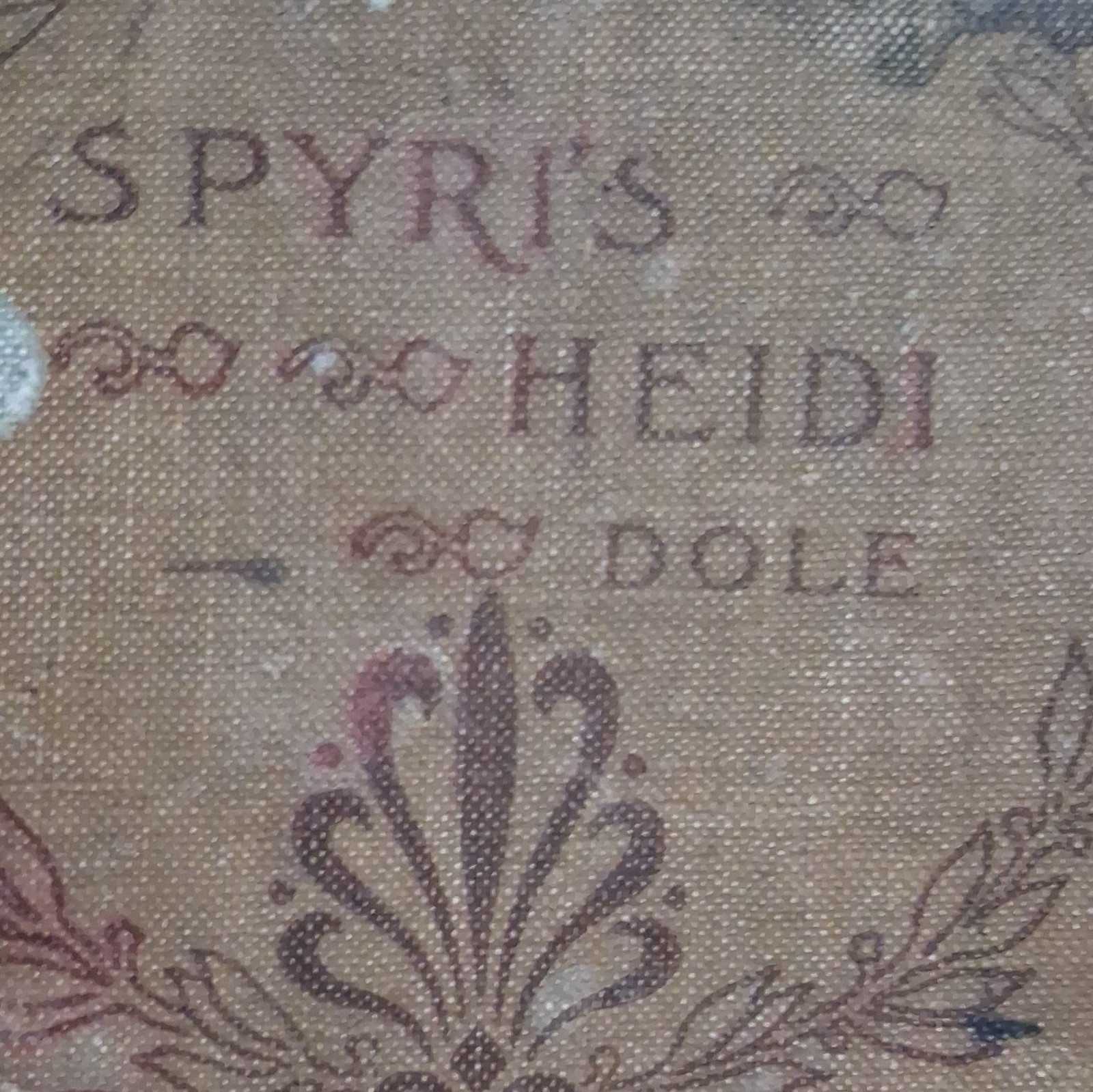 Johanna Spyri Heidi 1899 Cloth Illustrated Ginn & Company