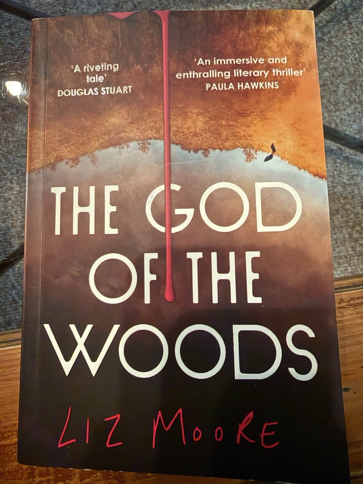 The God of the Woods by Liz Moore Paperback Mystery Novel The Borough Press