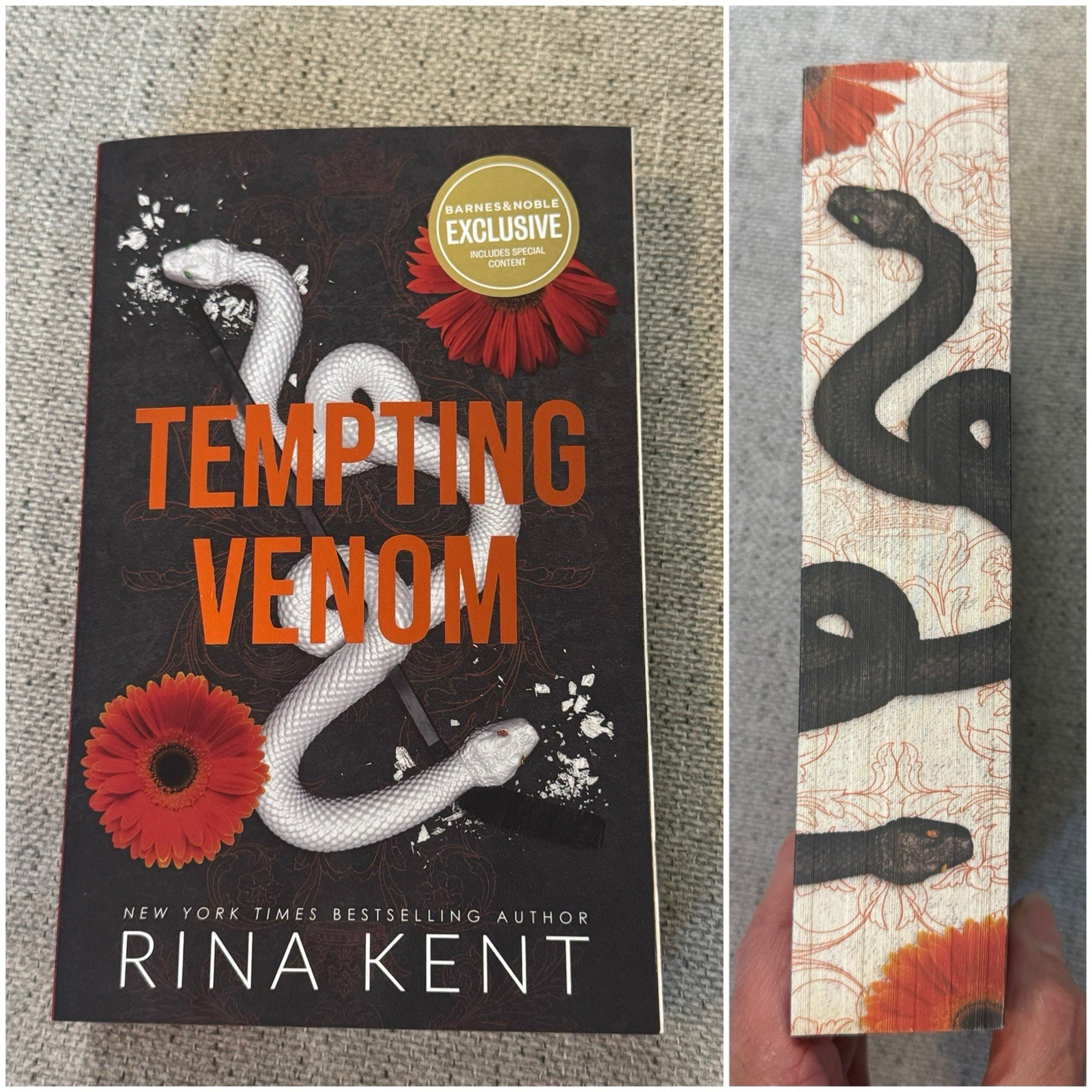 Tempting Venom Rina Kent Bundle Barnes & Noble Edition Target Exclusive