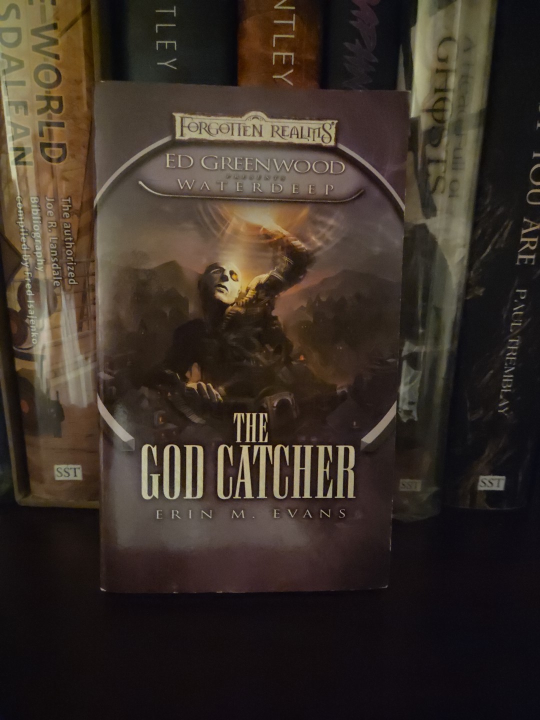 Forgotten Realms The God Catcher Erin M. Evans Waterdeep TSR D&D