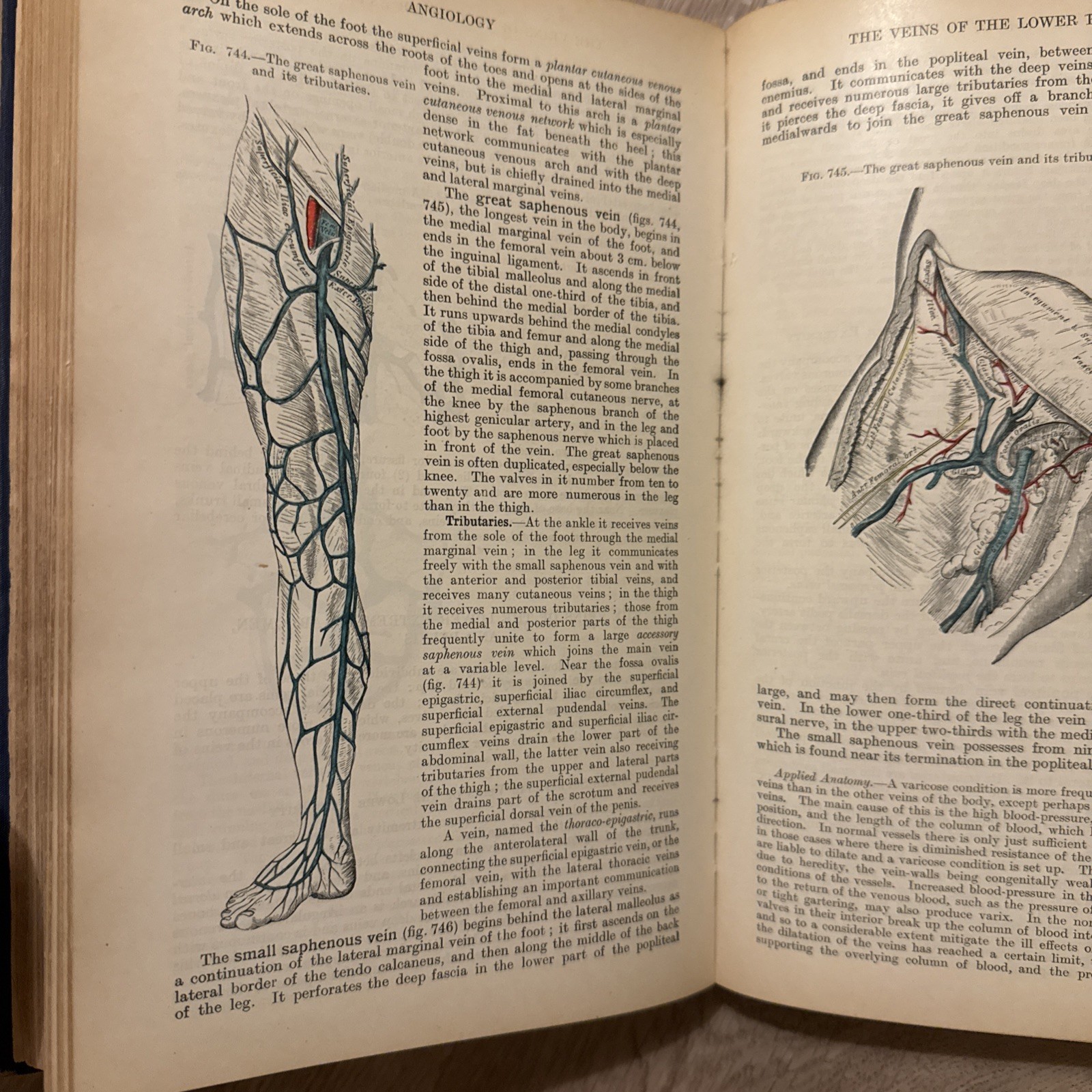 Rare 1923 Gray’s Descriptive and Applied – 22nd Ed (Classic Medical Collectible)