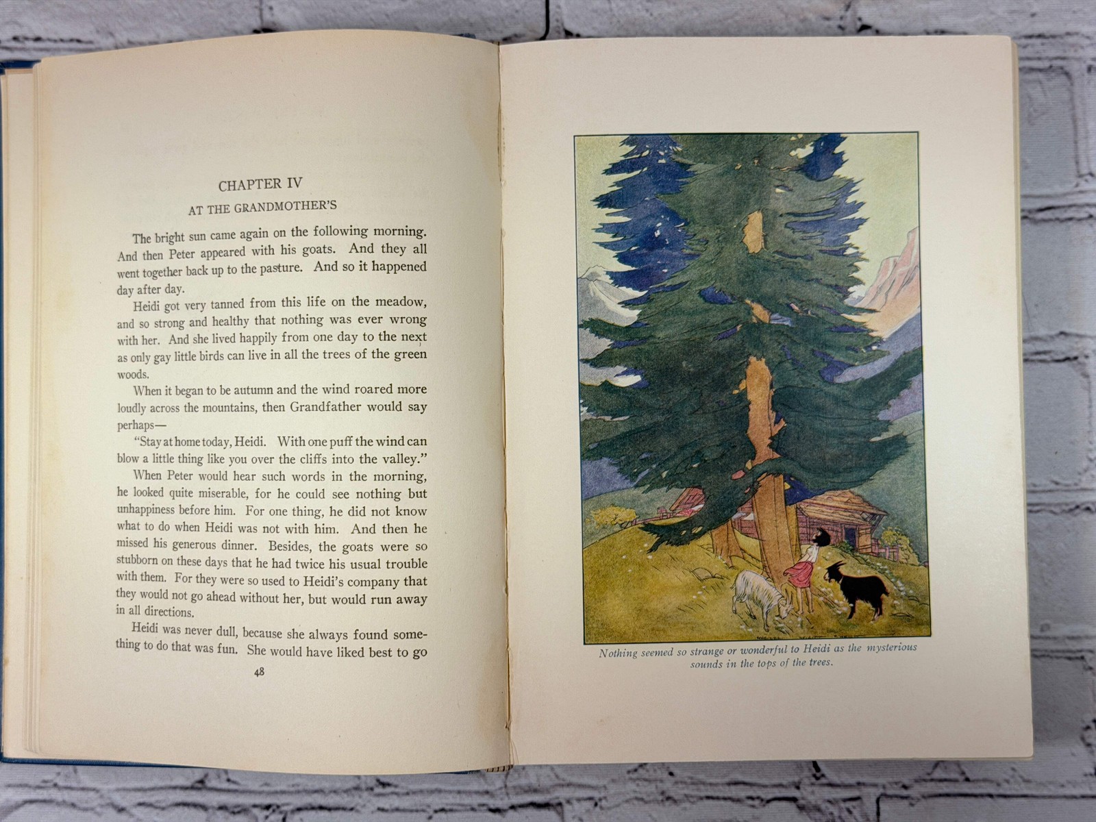 Heidi by Johanna Spyri [Windmere Series · · 1921]