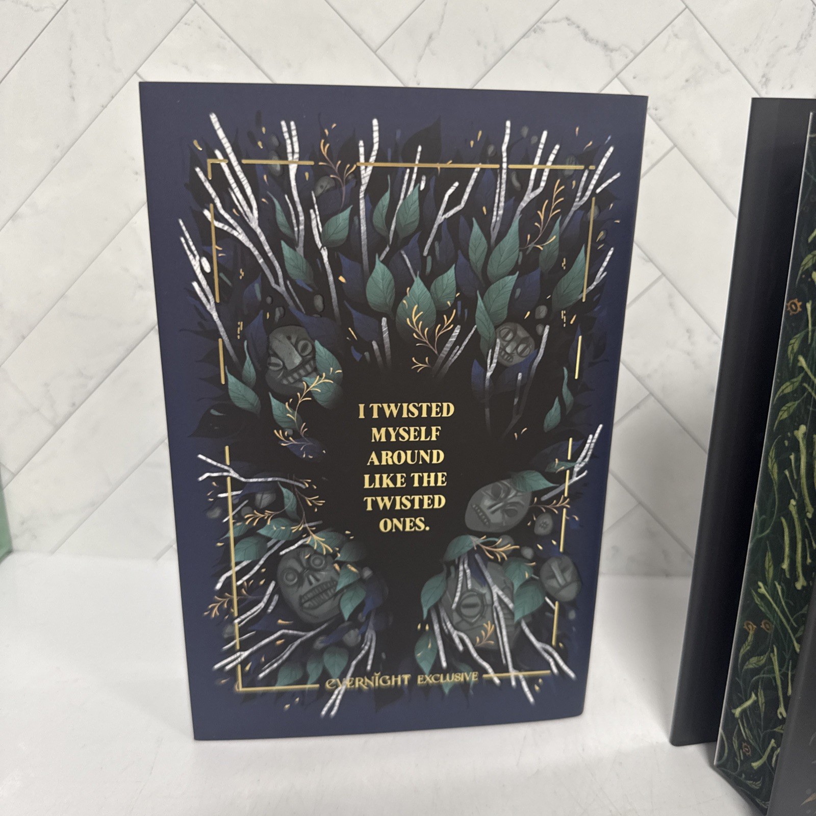 Illumicrate Evernight T. Kingfisher Set Hardback Exclusive Sprayed Edges Signed