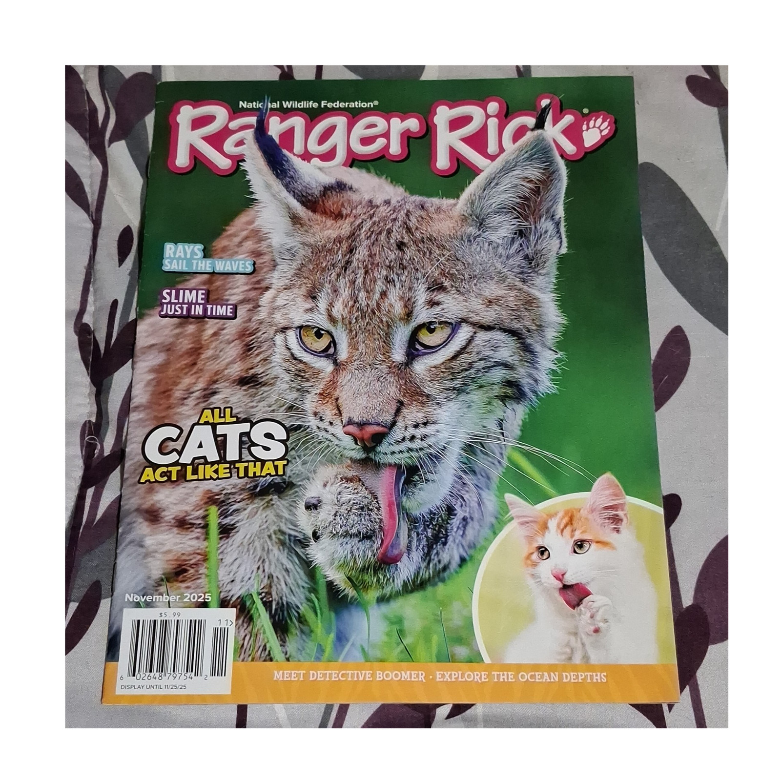 Ranger Rick November 2025 All Cats Act Like That