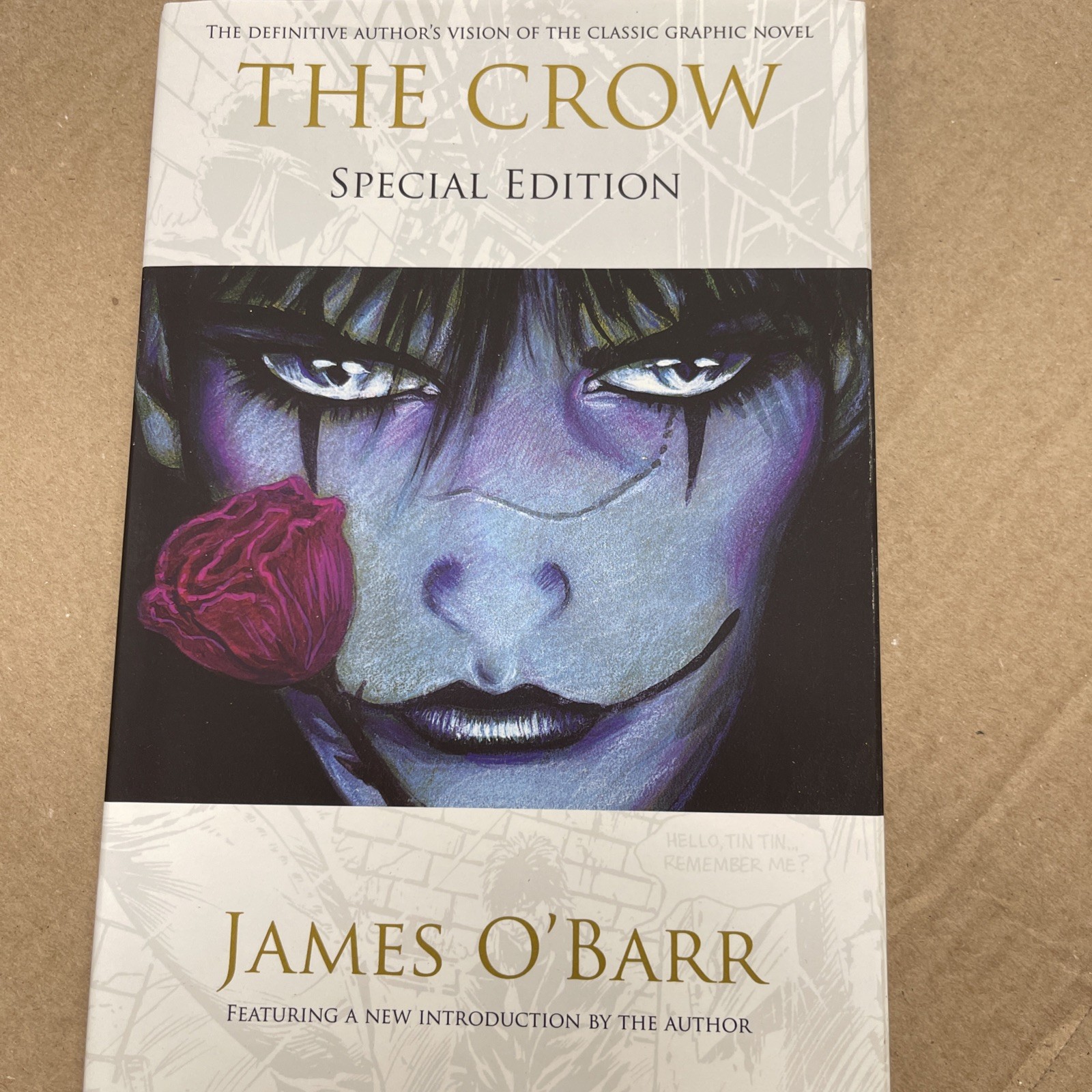 THE CROW – Special Edition Hardcover Book James O’Barr Gallery 13