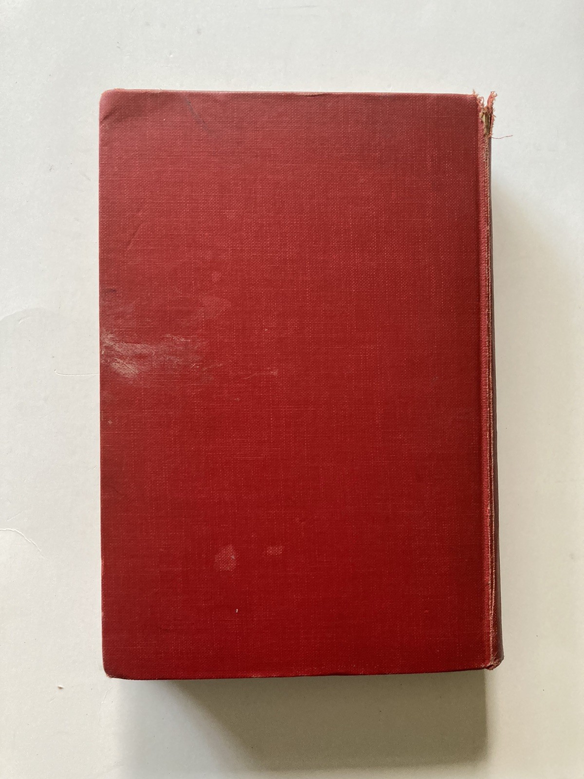 Bird Neighbors | Neltje Blanchan | Garden City, 1922 | Vintage Hardcover
