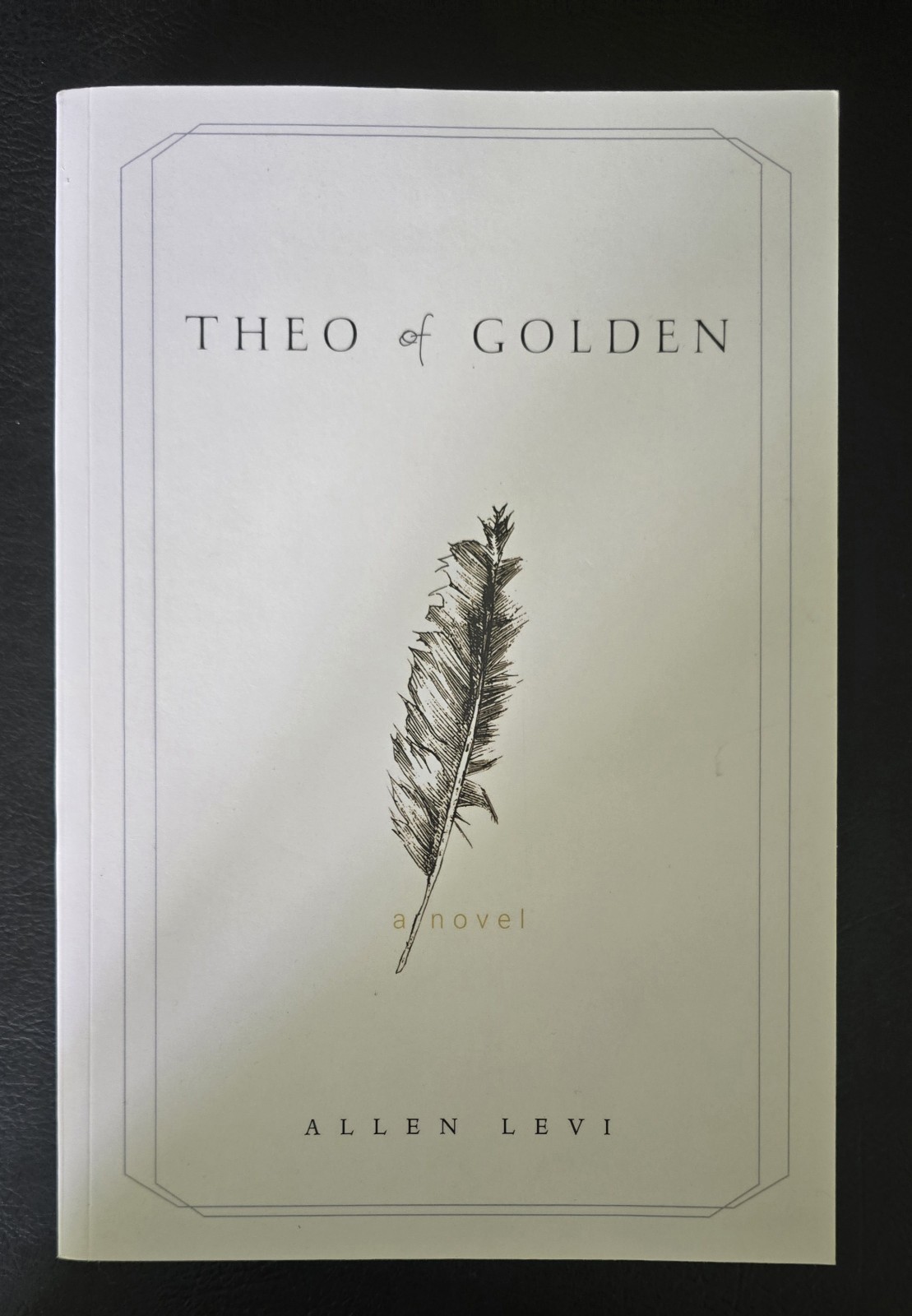 Theo of Golden : A Novel by Allen Levi (2025, Trade Paperback) VERY GOOD