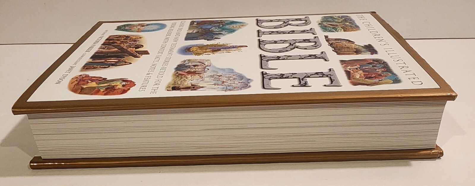 The Children’s Illustrated Bible Victoria Parker 512 Pages