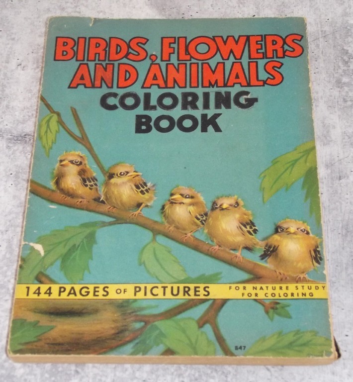 1936 Birds, Flowers and Animals Coloring Book, Used Coloring Book 144 PAGES EB29