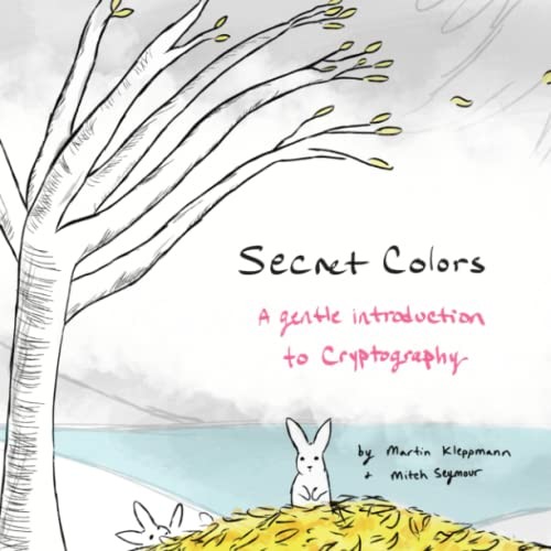 Secret Colors: A Gentle Introduction to Cryptography by Kleppmann, Martin Book