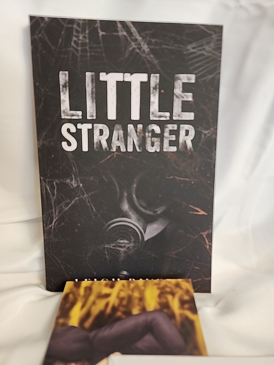 Little Stranger A Dark Taboo Romance Paperback By Leigh Rivers Art Print Signed