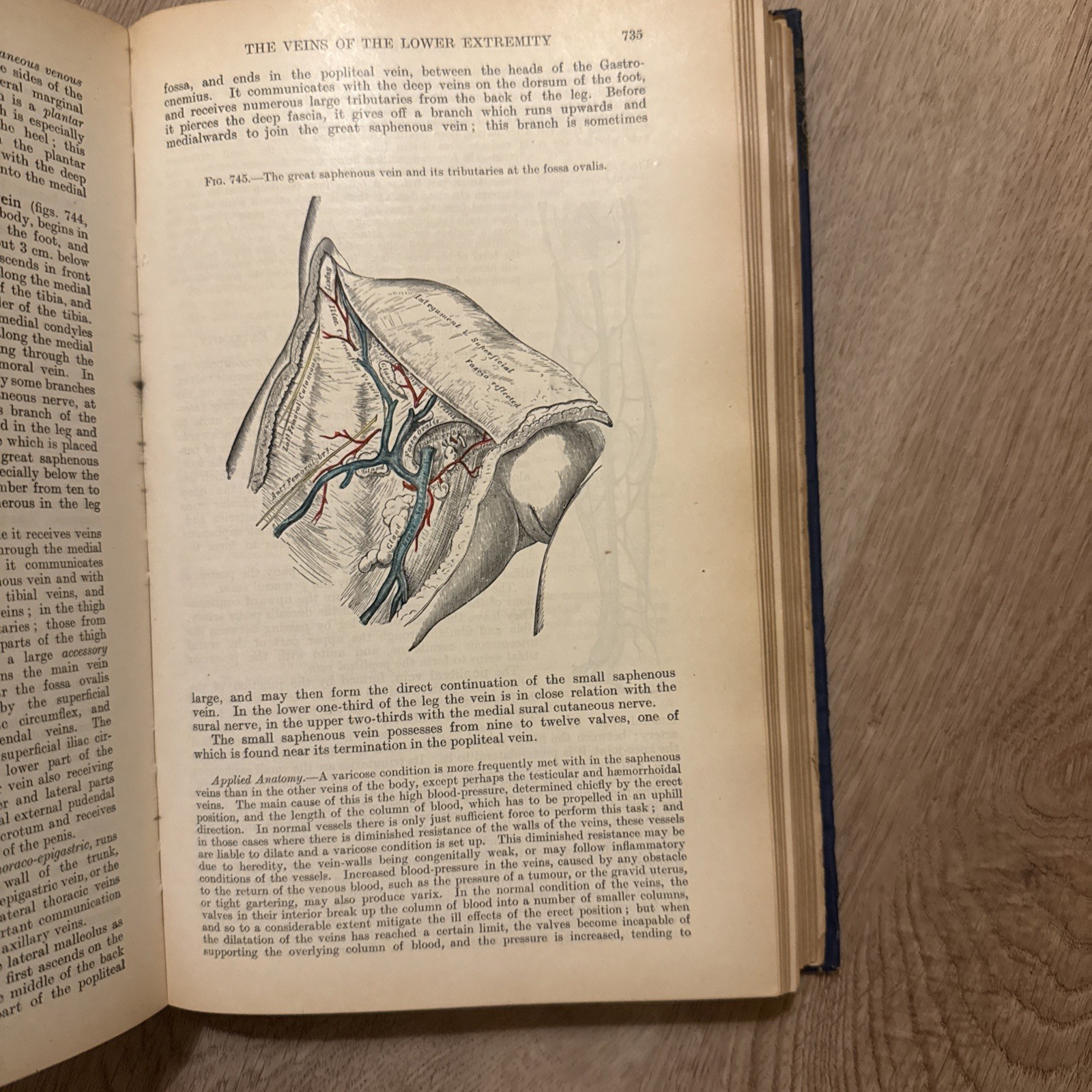Rare 1923 Gray’s Descriptive and Applied – 22nd Ed (Classic Medical Collectible)