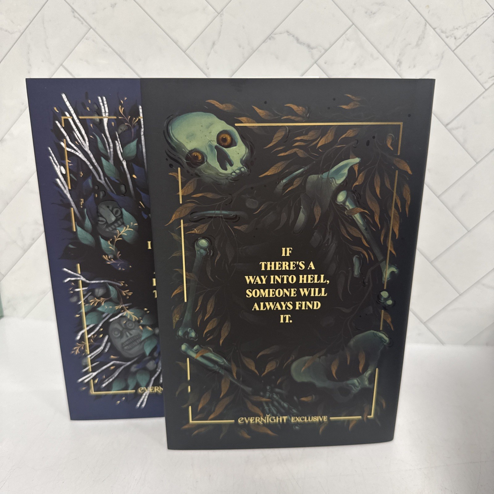 Illumicrate Evernight T. Kingfisher Set Hardback Exclusive Sprayed Edges Signed