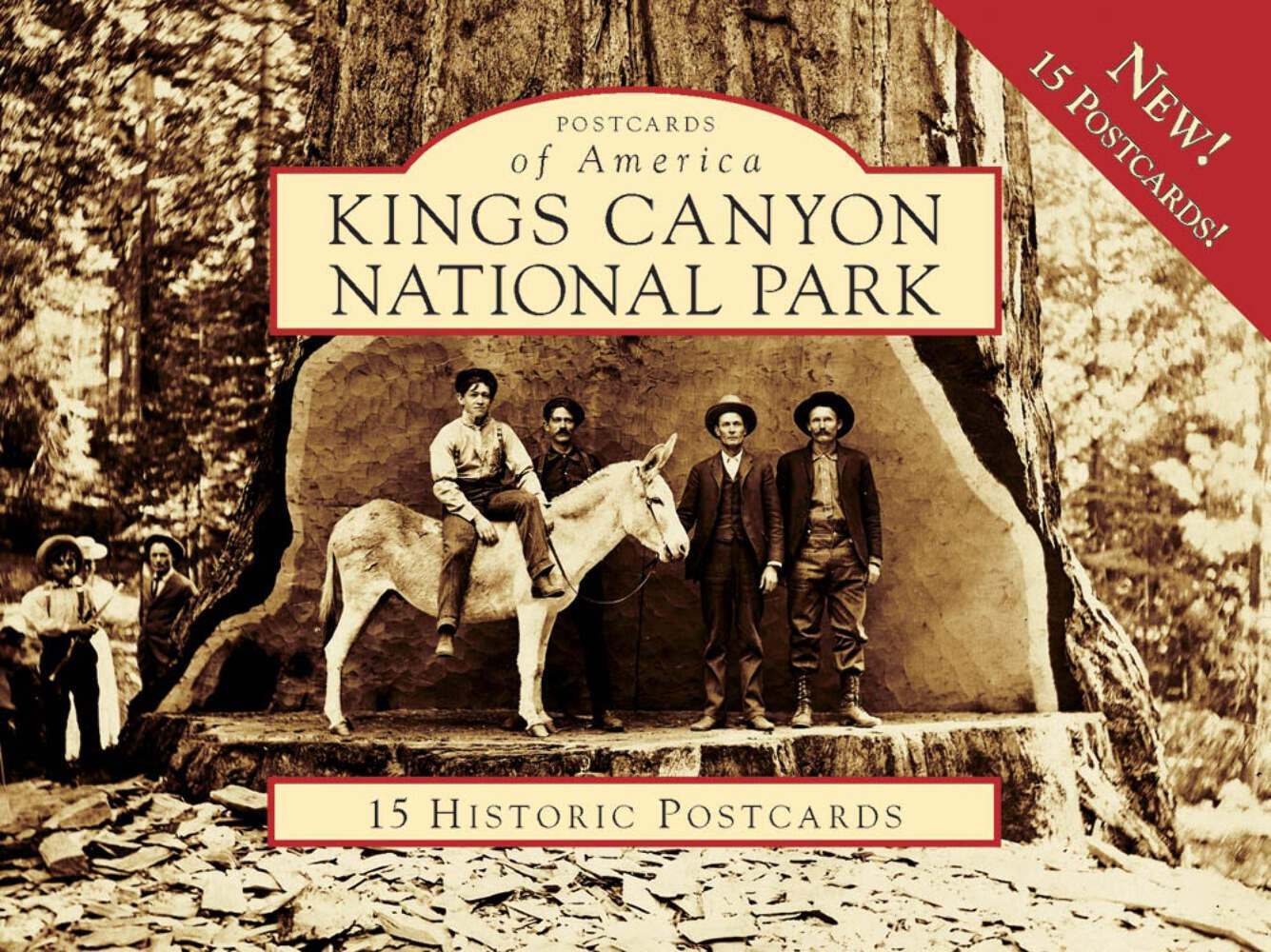 NEW Arcadia Publishing Kings Canyon National Park, CA 9780738569604 Postcards of
