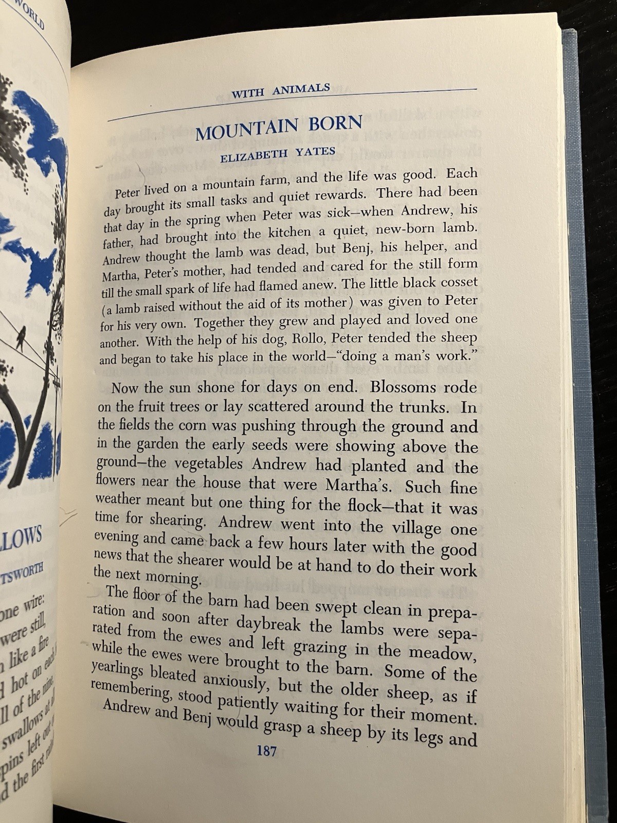 Prose and Poetry Medallion Editions, 1953 HC, Two book set -Blue Sky & Firelight