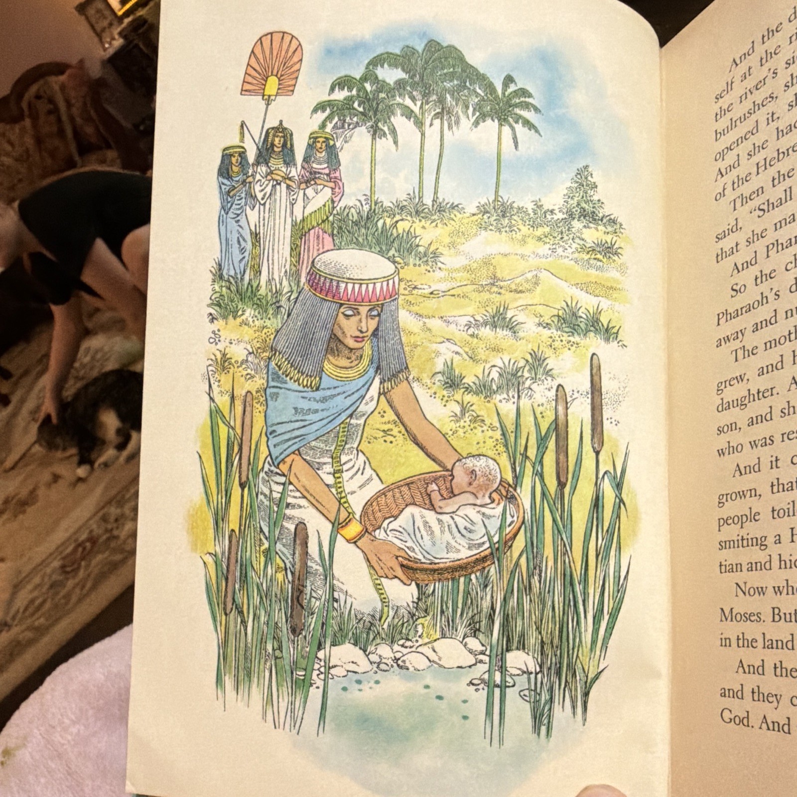 Best in Children’s Books The Wonderful Story of Moses HC Illus Ages 4-8