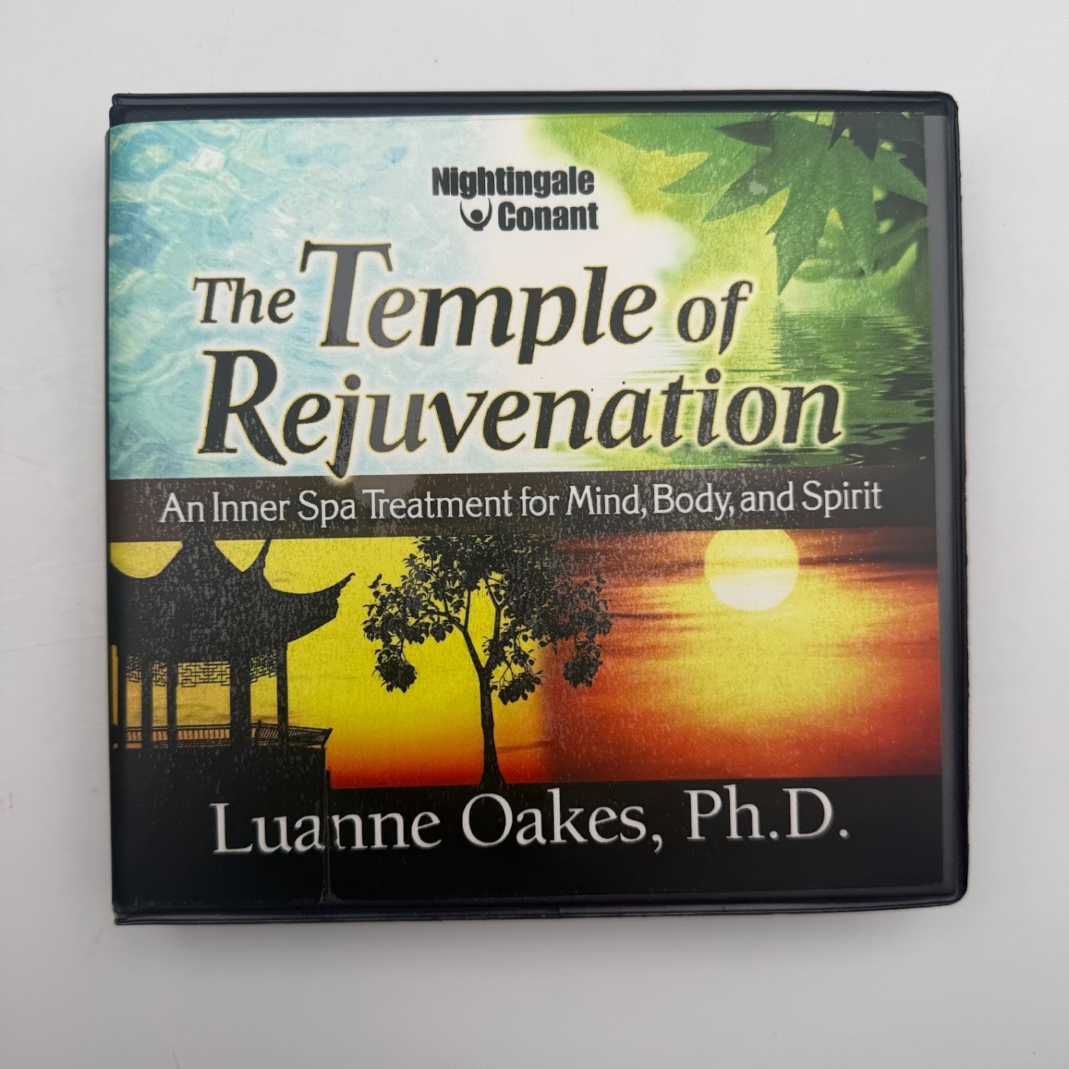 The Temple Of Rejuvenation By Luanne Oakes PhD 8 CD Mind Body & Spirit Treatment