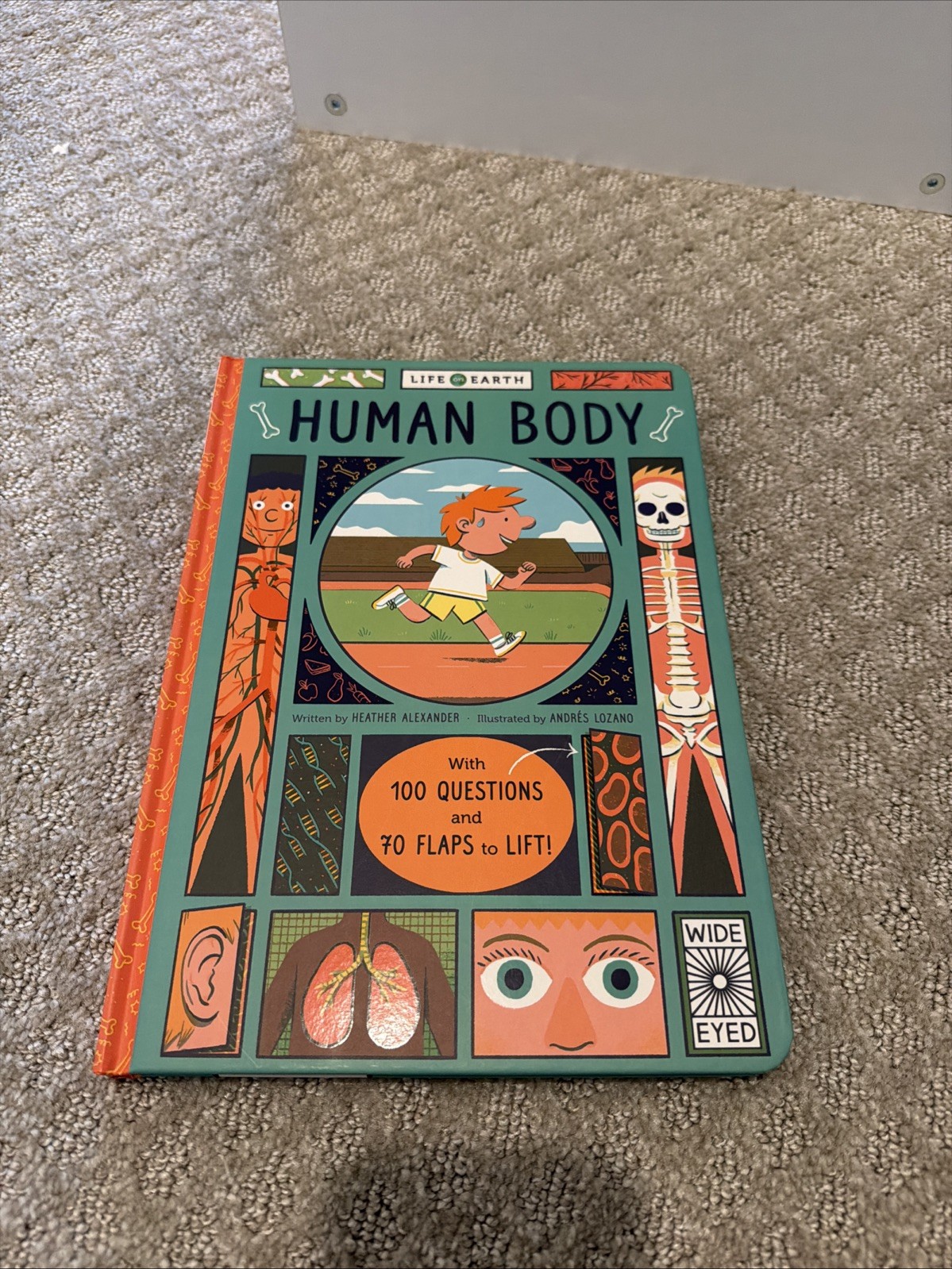 Life On Earth: Human Body by Heather Alexander (2017, Children’s Board Books)